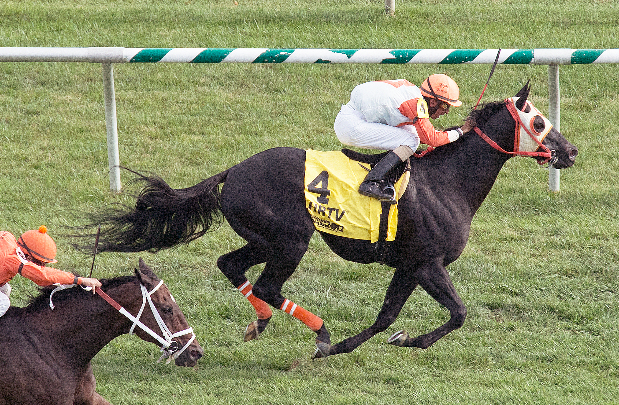 Ben's Cat, Jim McKay Maryland Million Turf Sprint