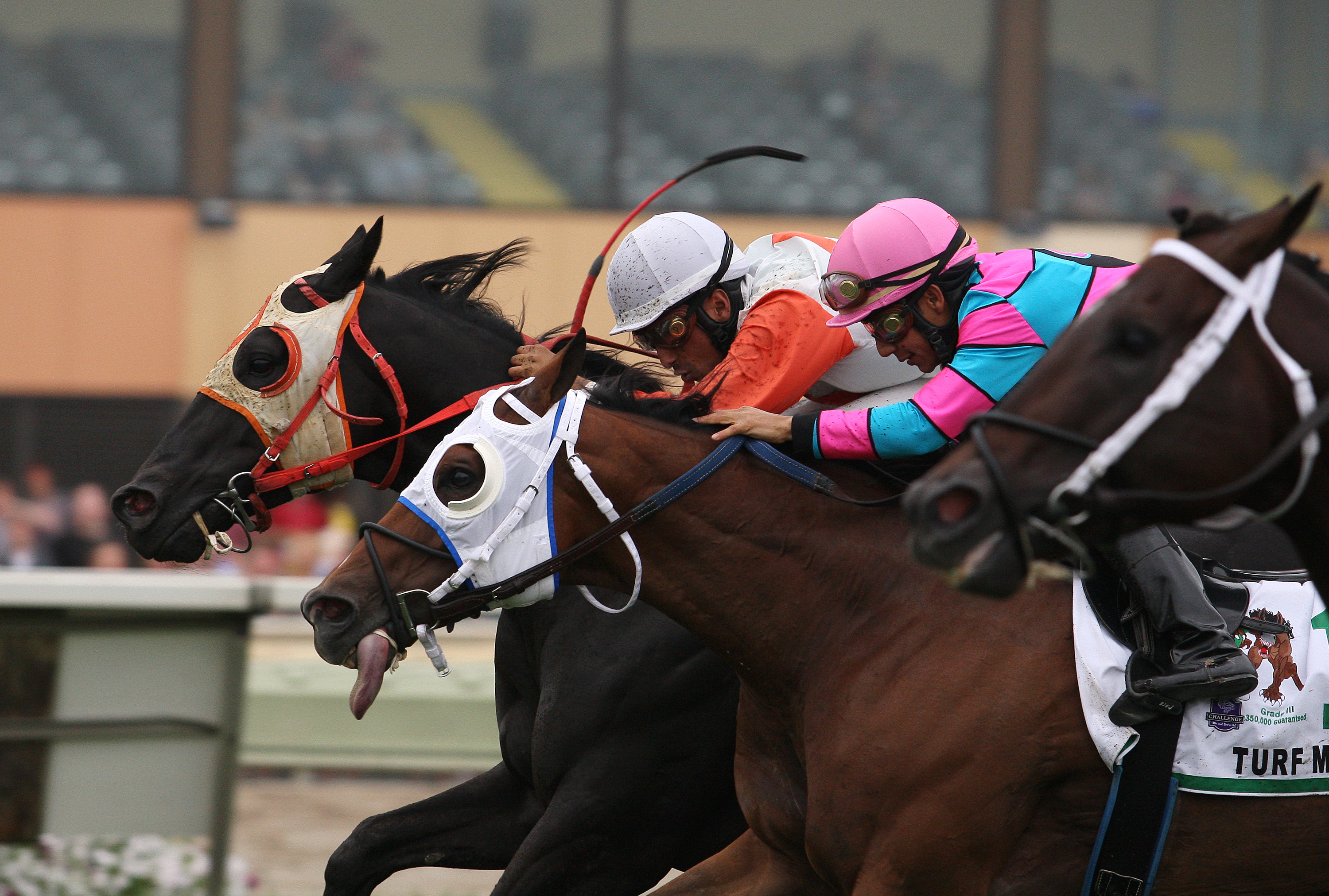 Ben's Cat/Turf Monster Handicap