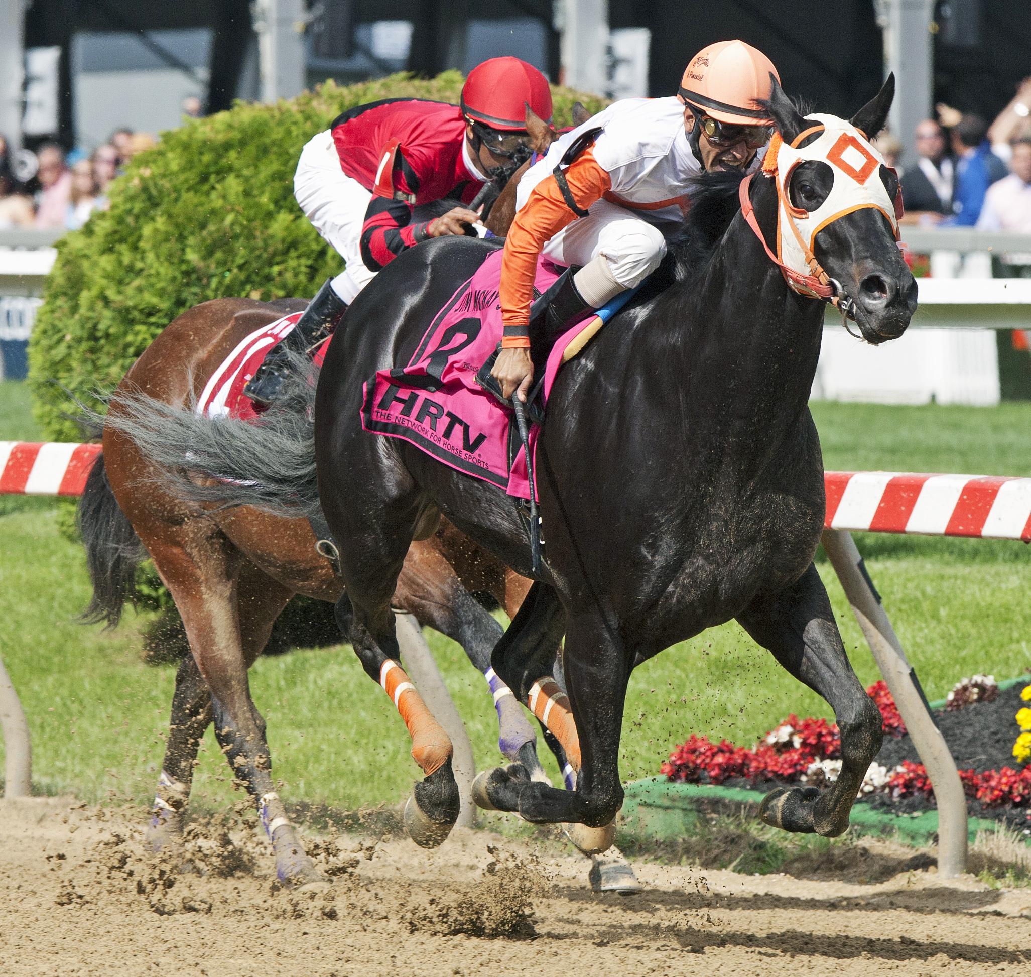 Ben's Cat wins the Jim McKay Turf Sprint