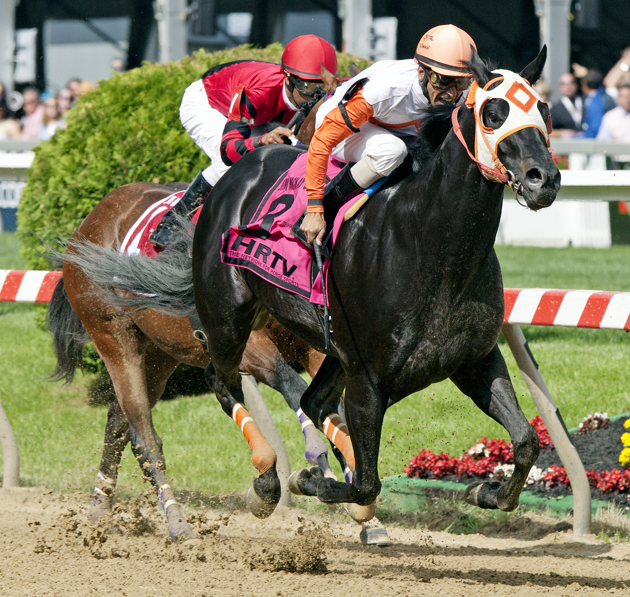 Ben's Cat wins the Jim McKay Turf Sprint