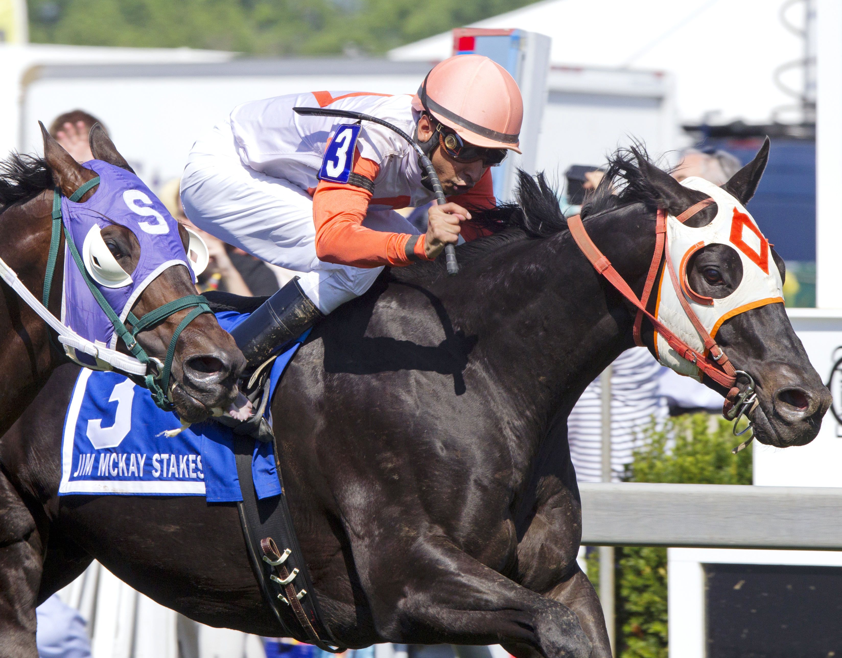 Ben's Cat wins the 2015 Jim McKay Turf Stakes