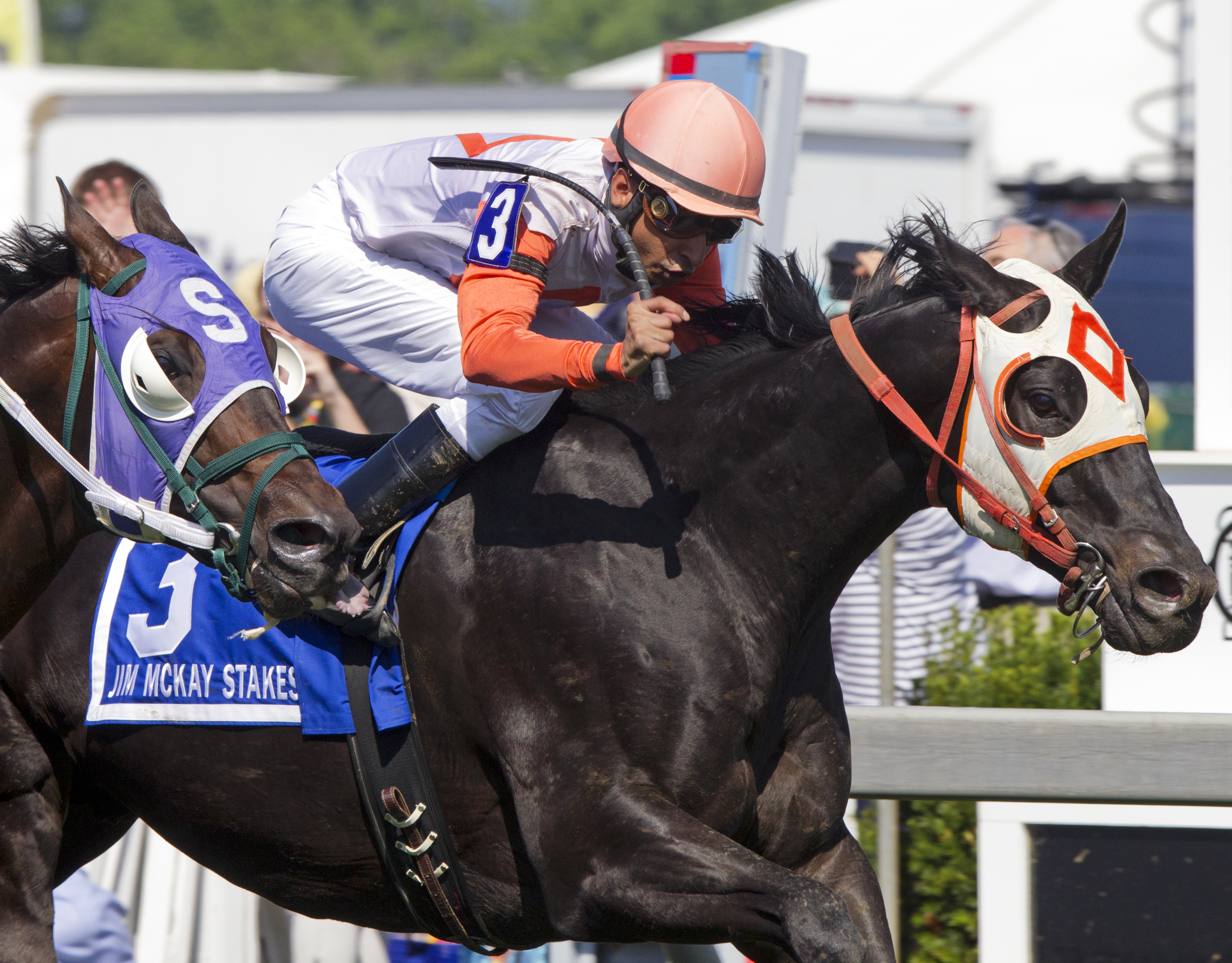 Ben's Cat wins the 2015 Jim McKay Turf Stakes