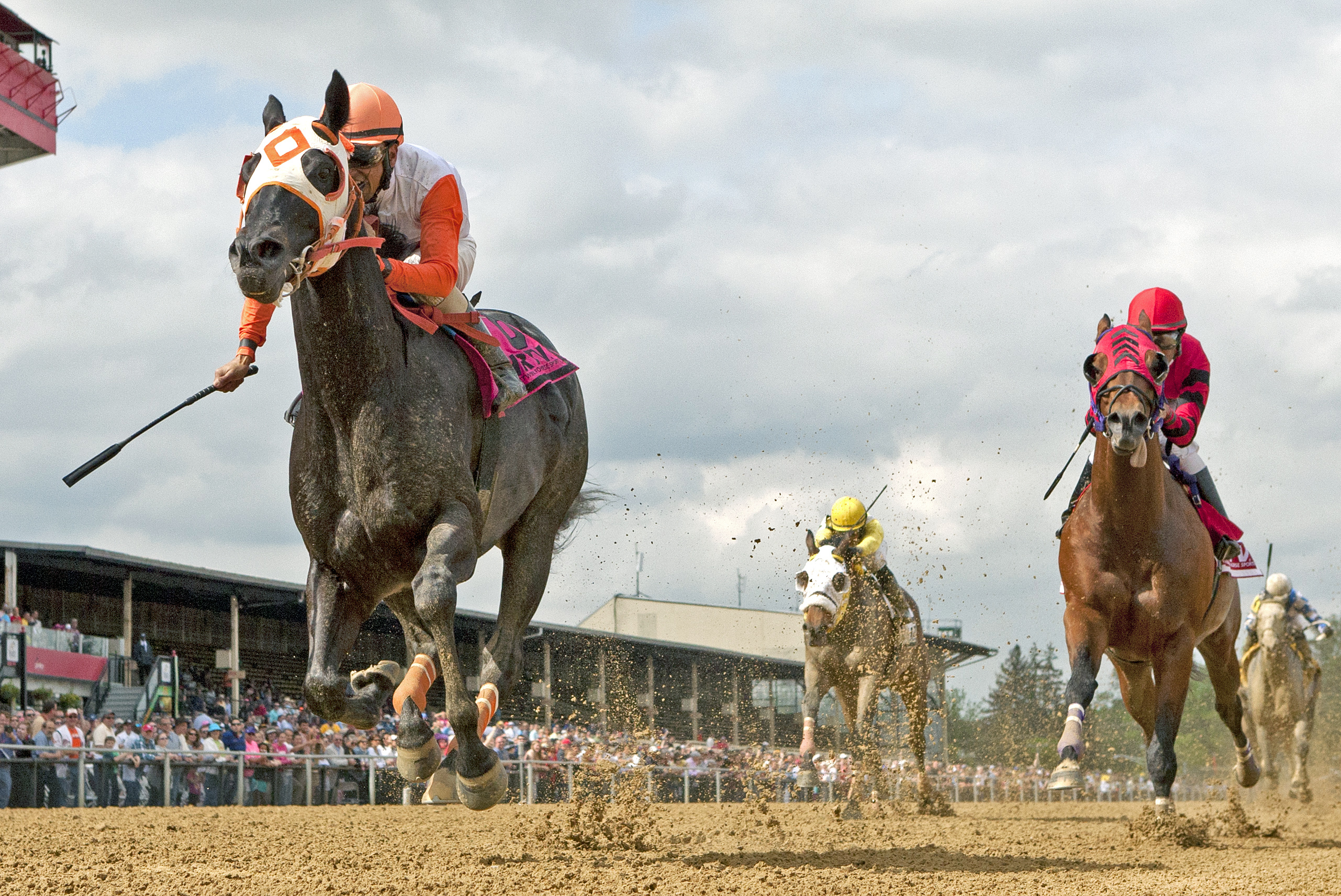 Ben's Cat wins the Jim McKay Turf Sprint