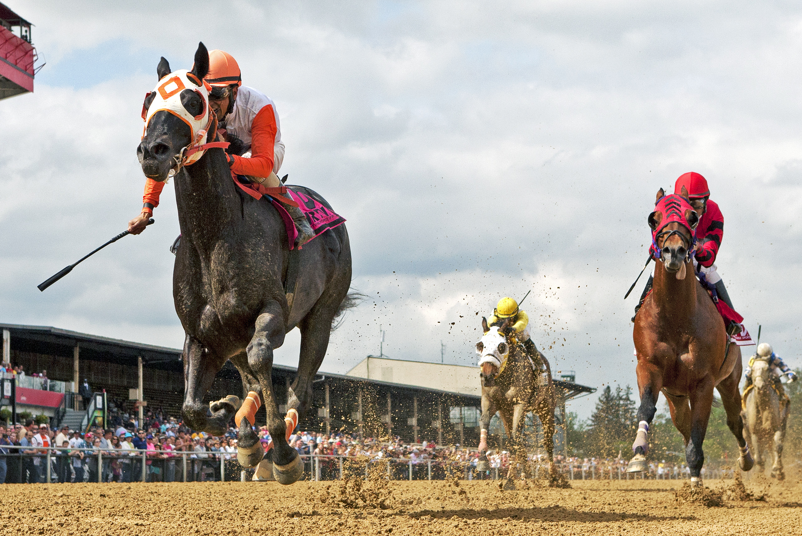 Ben's Cat wins the Jim McKay Turf Sprint