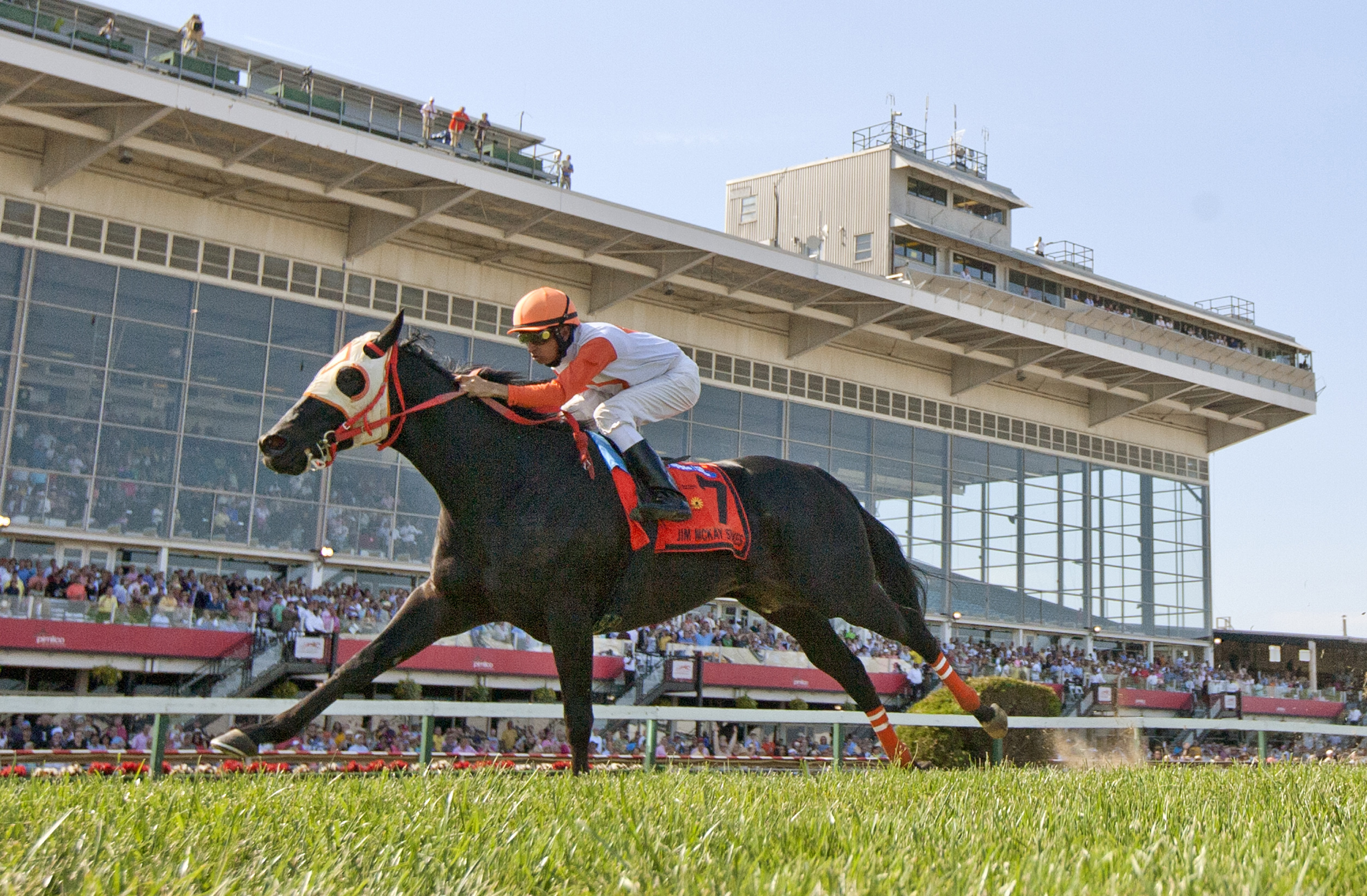 Ben's Cat wins the Jim McKay Turf Sprint