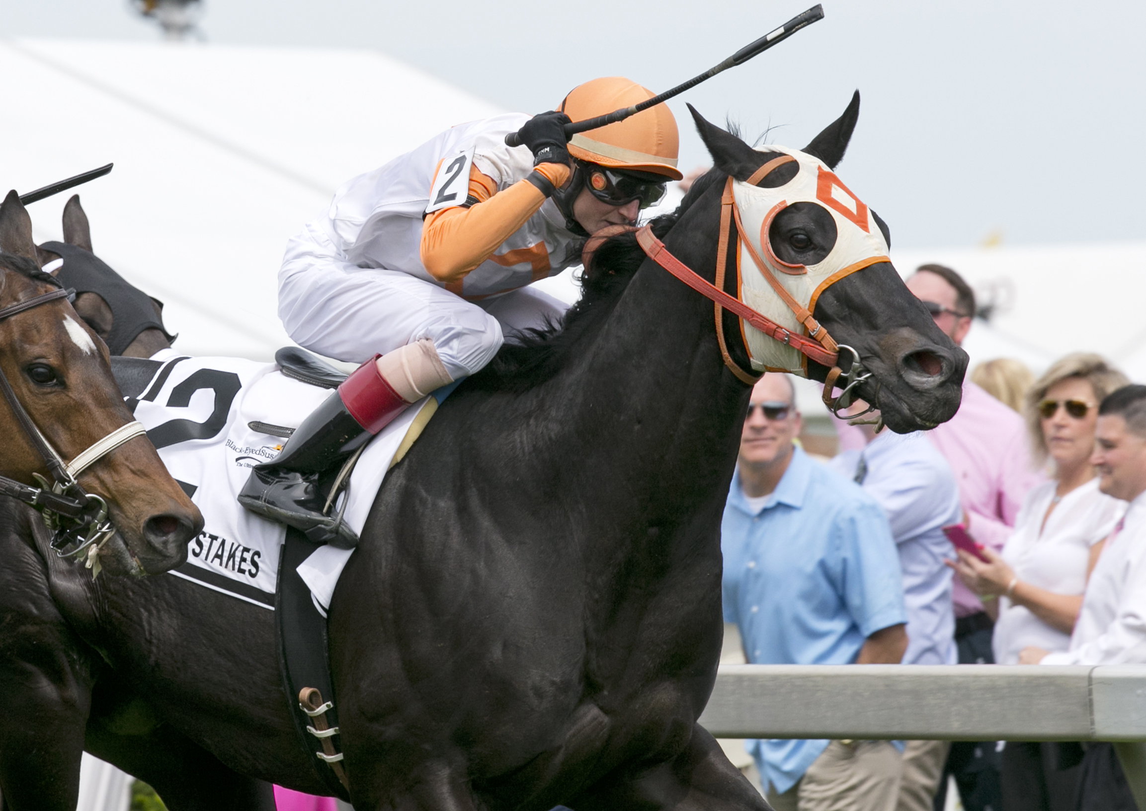 Ben's Cat wins the Jim McKay Turf Sprint