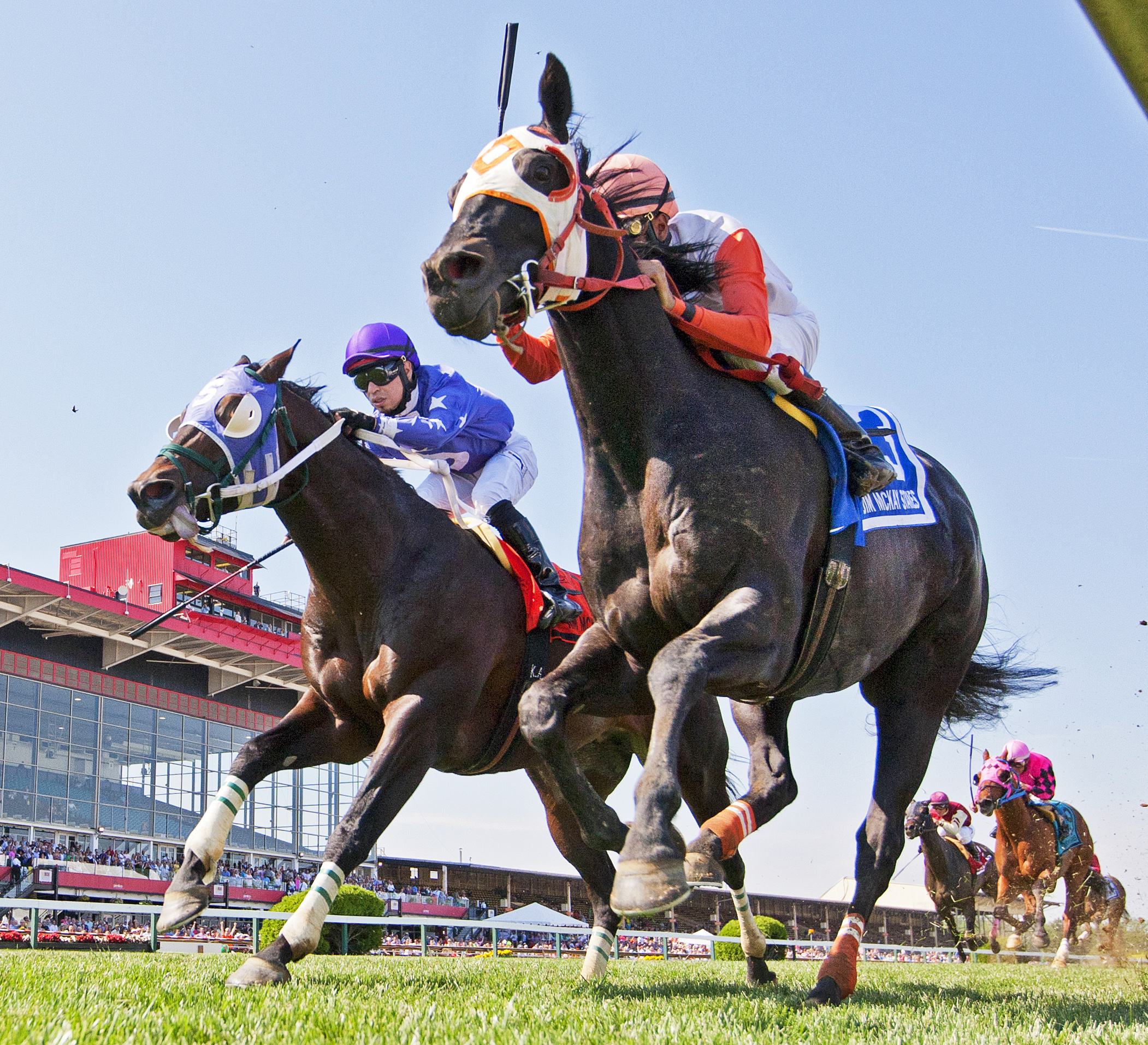 Ben's Cat wins the Jim McKay Turf Sprint