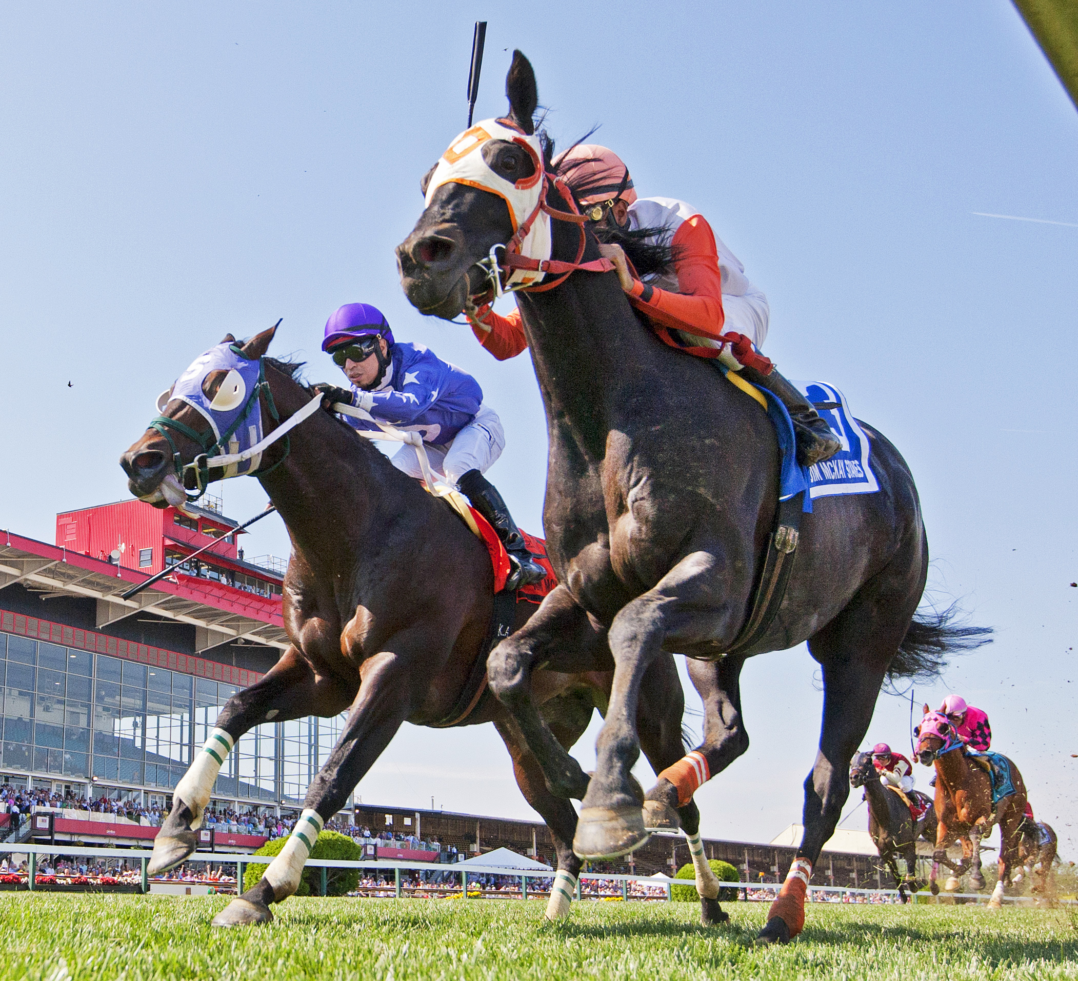 Ben's Cat wins the Jim McKay Turf Sprint