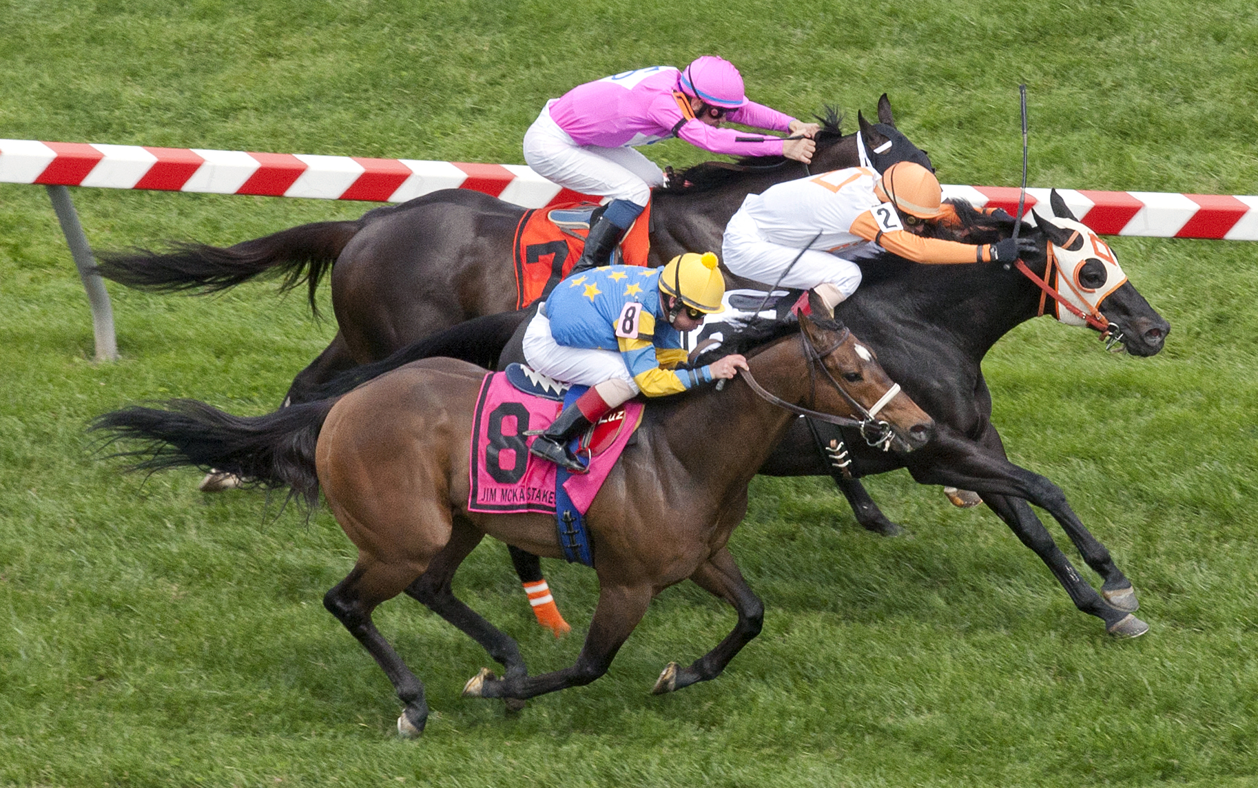 Ben's Cat wins the 2016 Jim McKay Turf Sprint