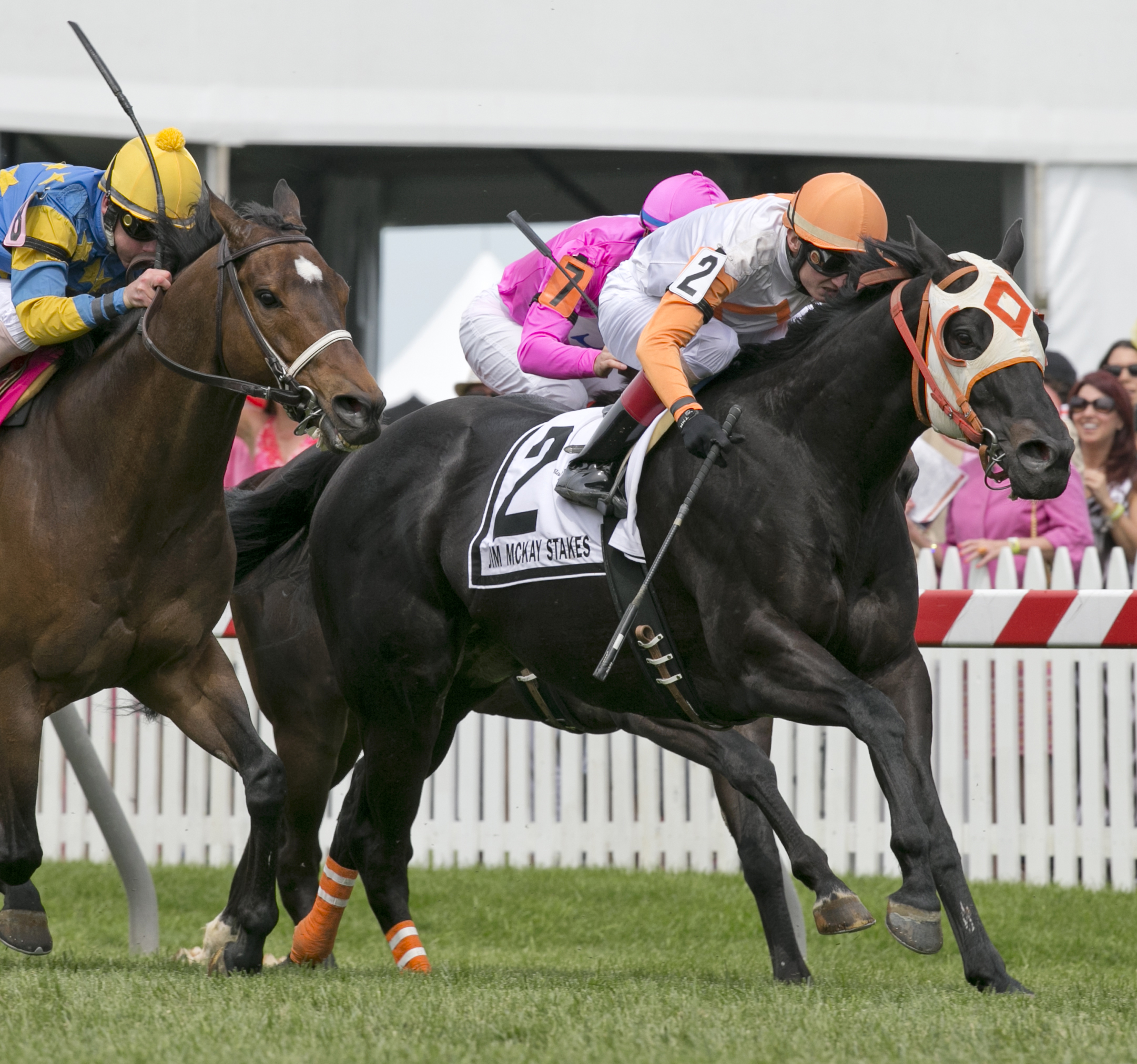 Ben's Cat wins the Jim McKay Turf Sprint
