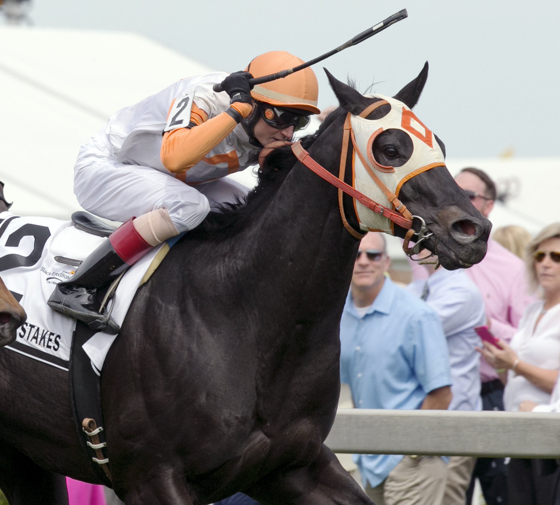 Ben's Cat wins the Jim McKay Turf Sprint