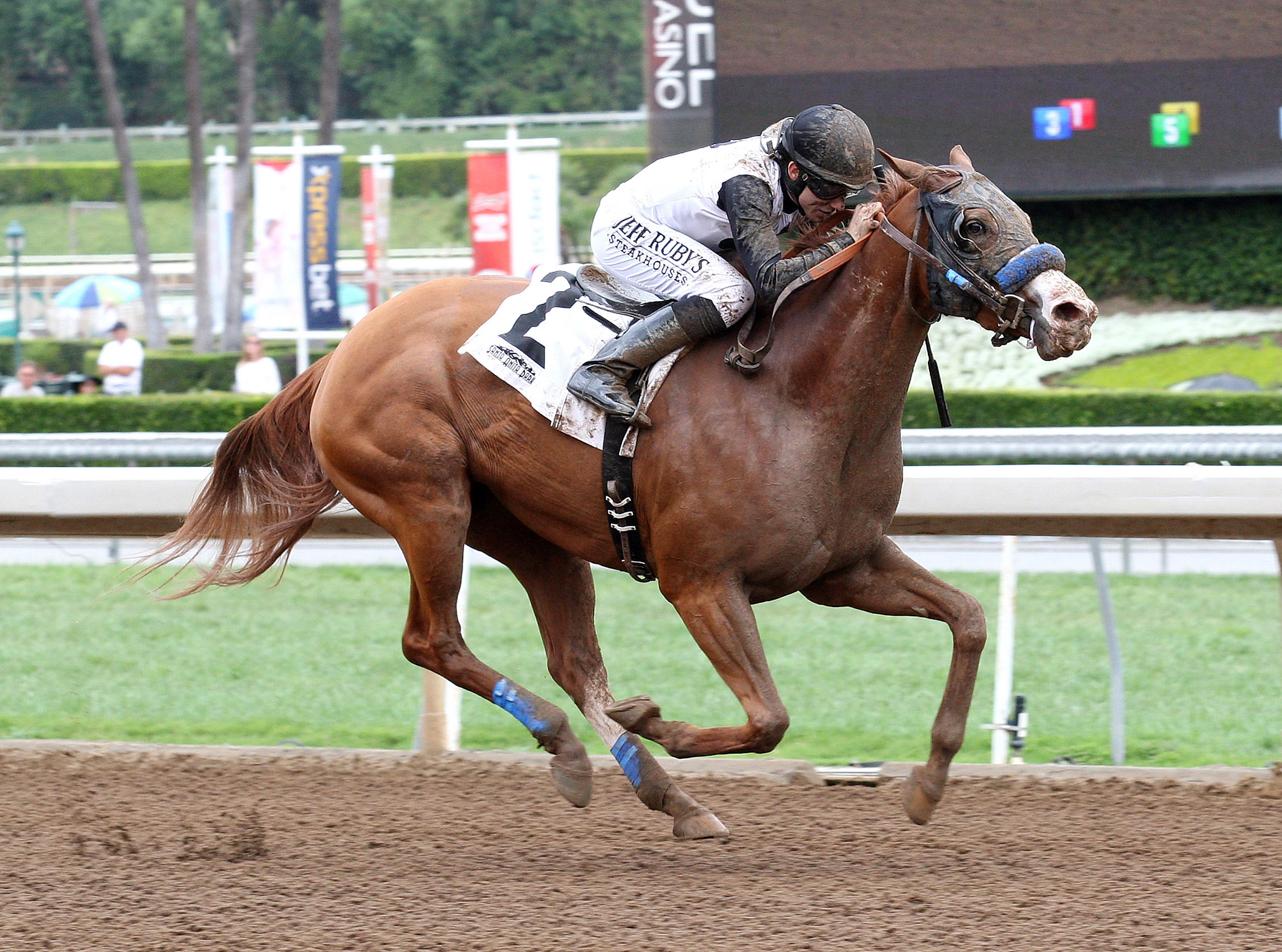 Ben's Duchess wins the LA Woman Stakes