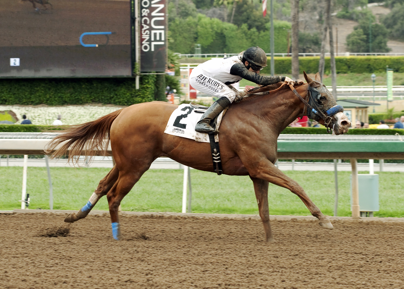 Ben's Duchess wins the L.A. Woman