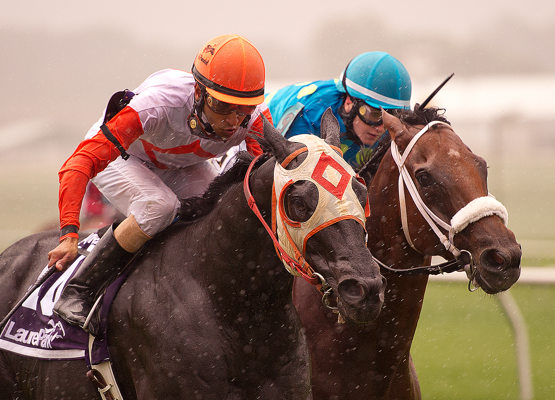 Ben's Cat/ LRL Turf Dash