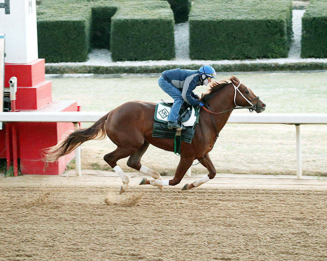 Ben Diesel trains at Oaklawn on Feb. 19