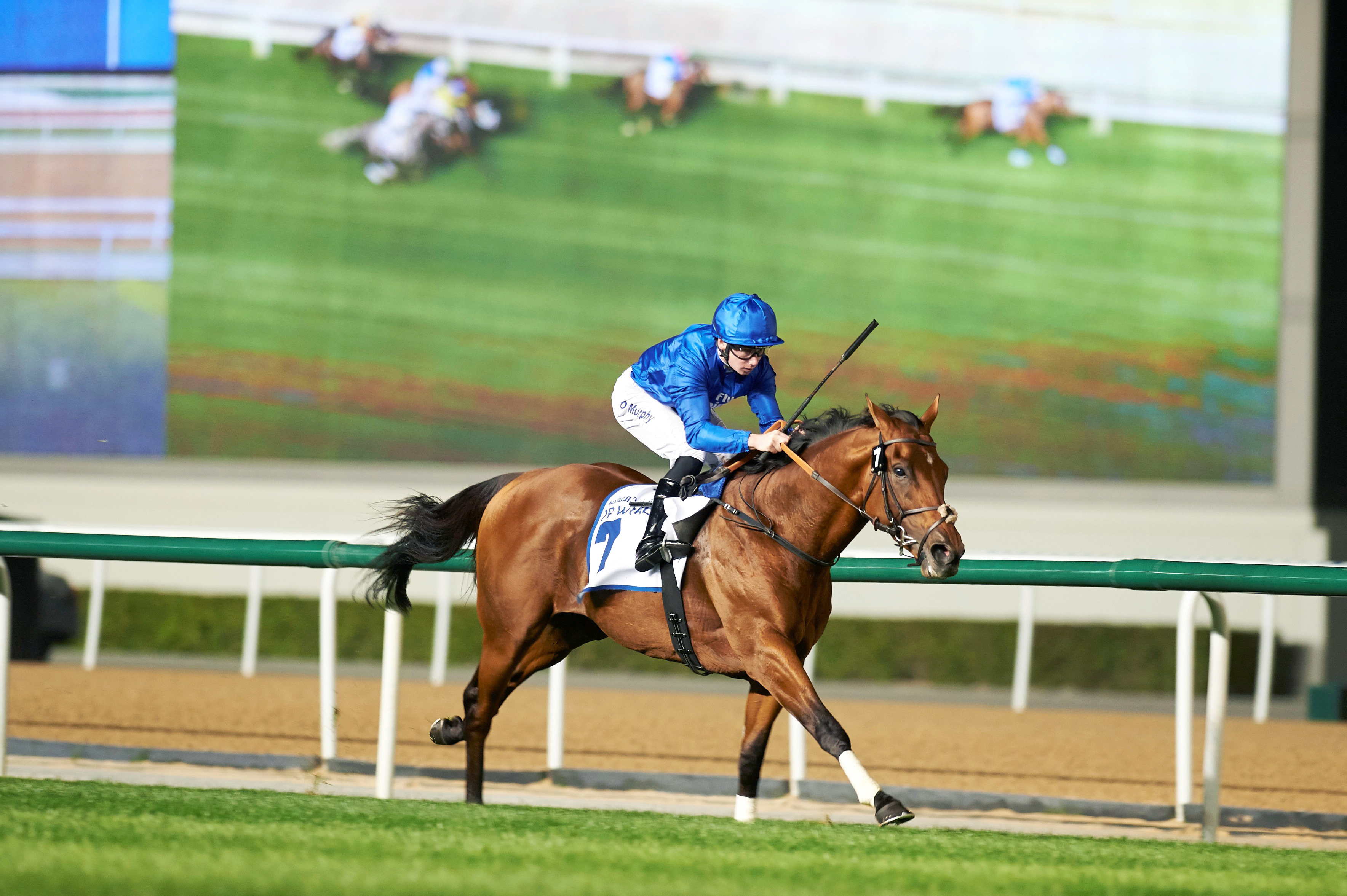 Benbatl easy winner in Al Rashidiya