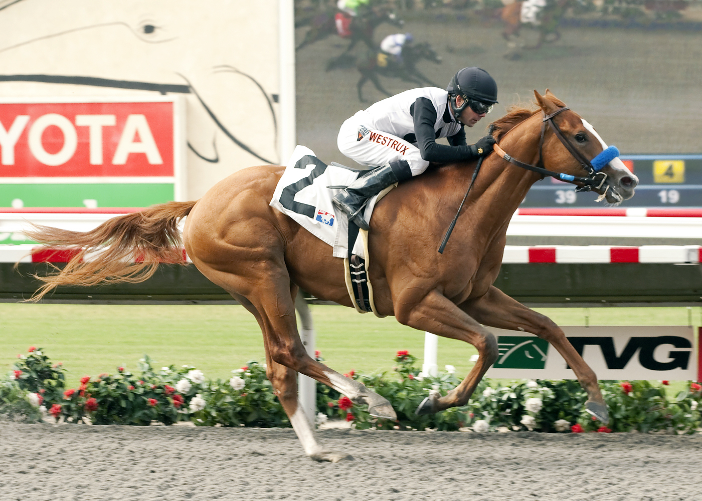 Bench Warrant wins a maiden