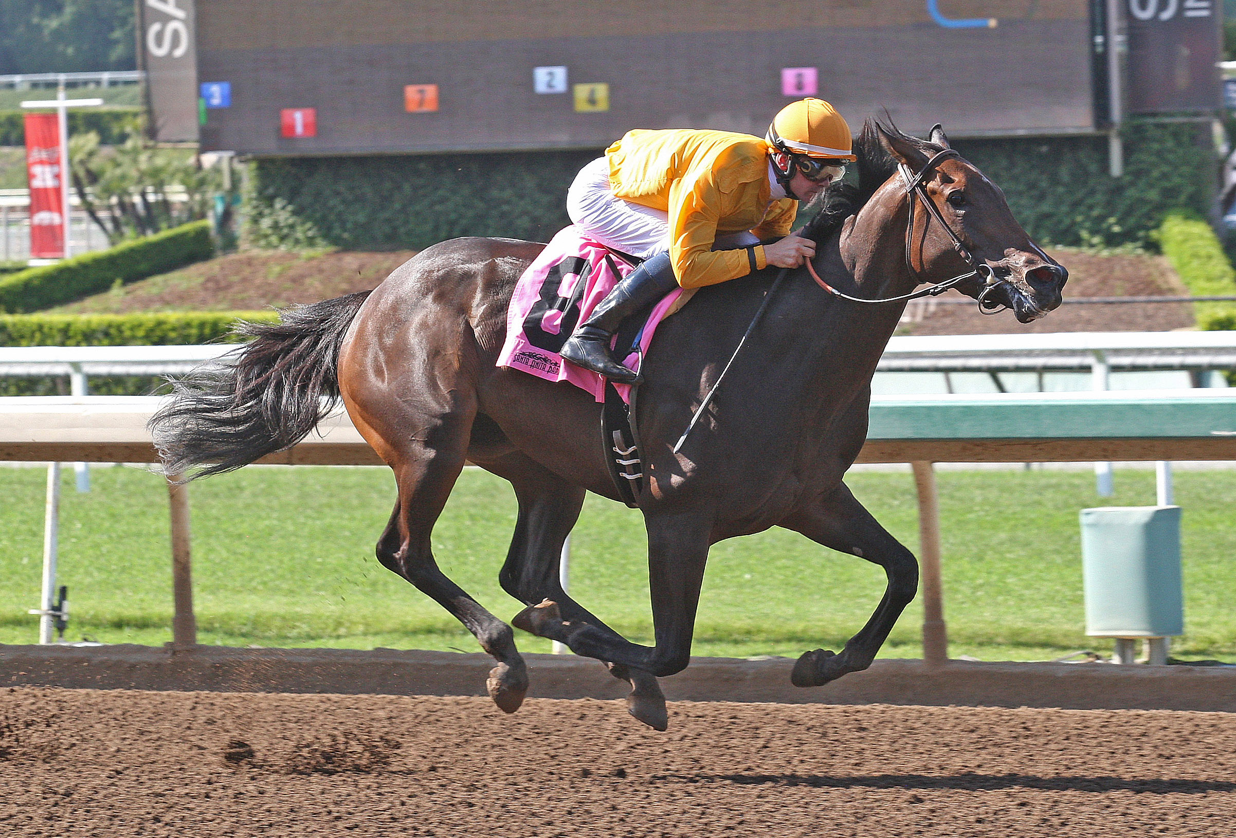 Bendable wins a maiden race