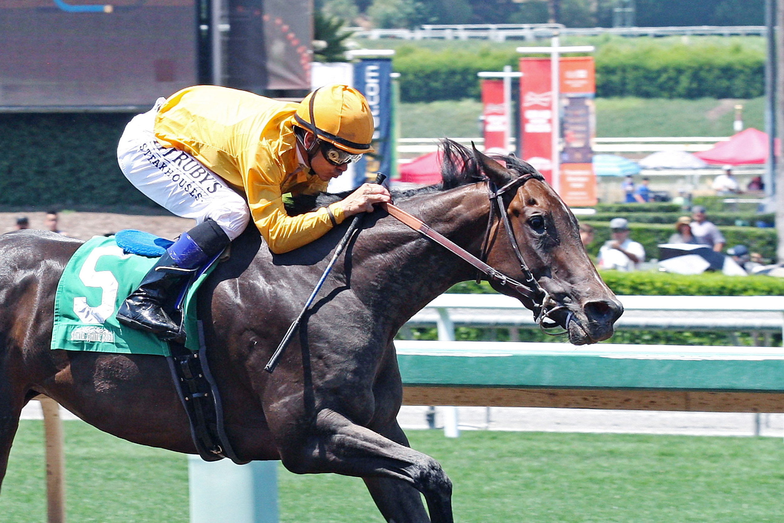 Bendable wins the 2017 Desert Stormer