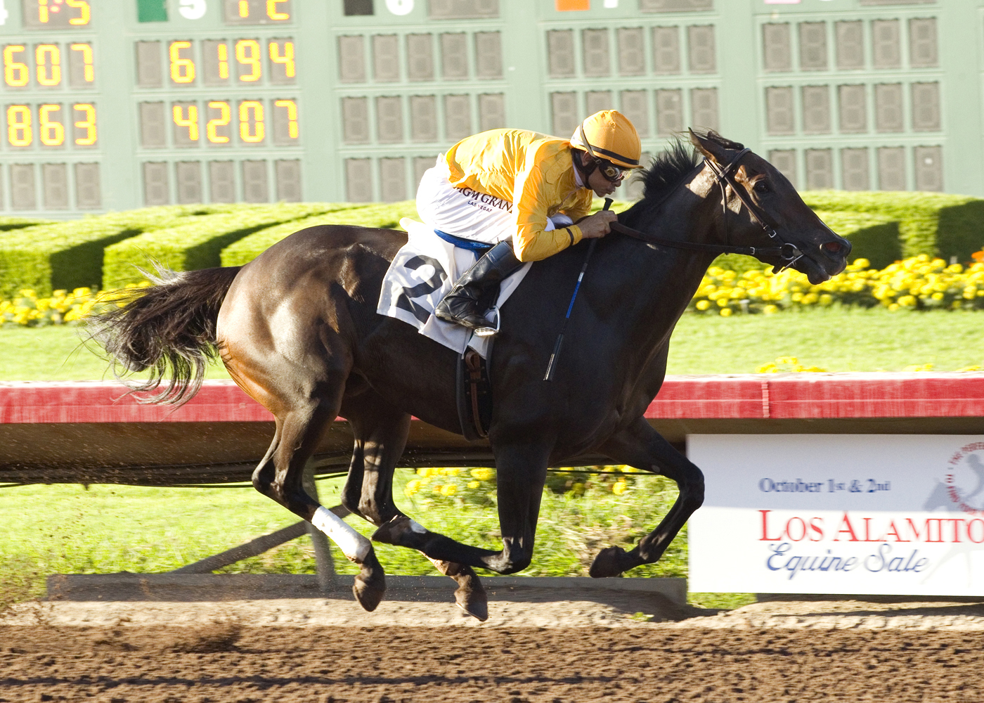 Bendable wins the Beverly J. Lewis Stakes