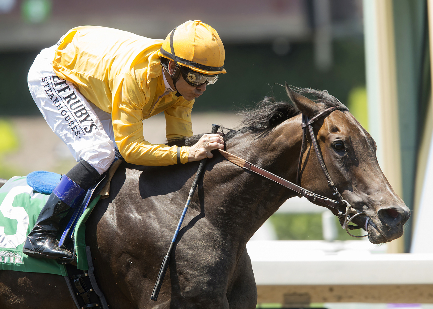 Bendable wins the Desert Stormer