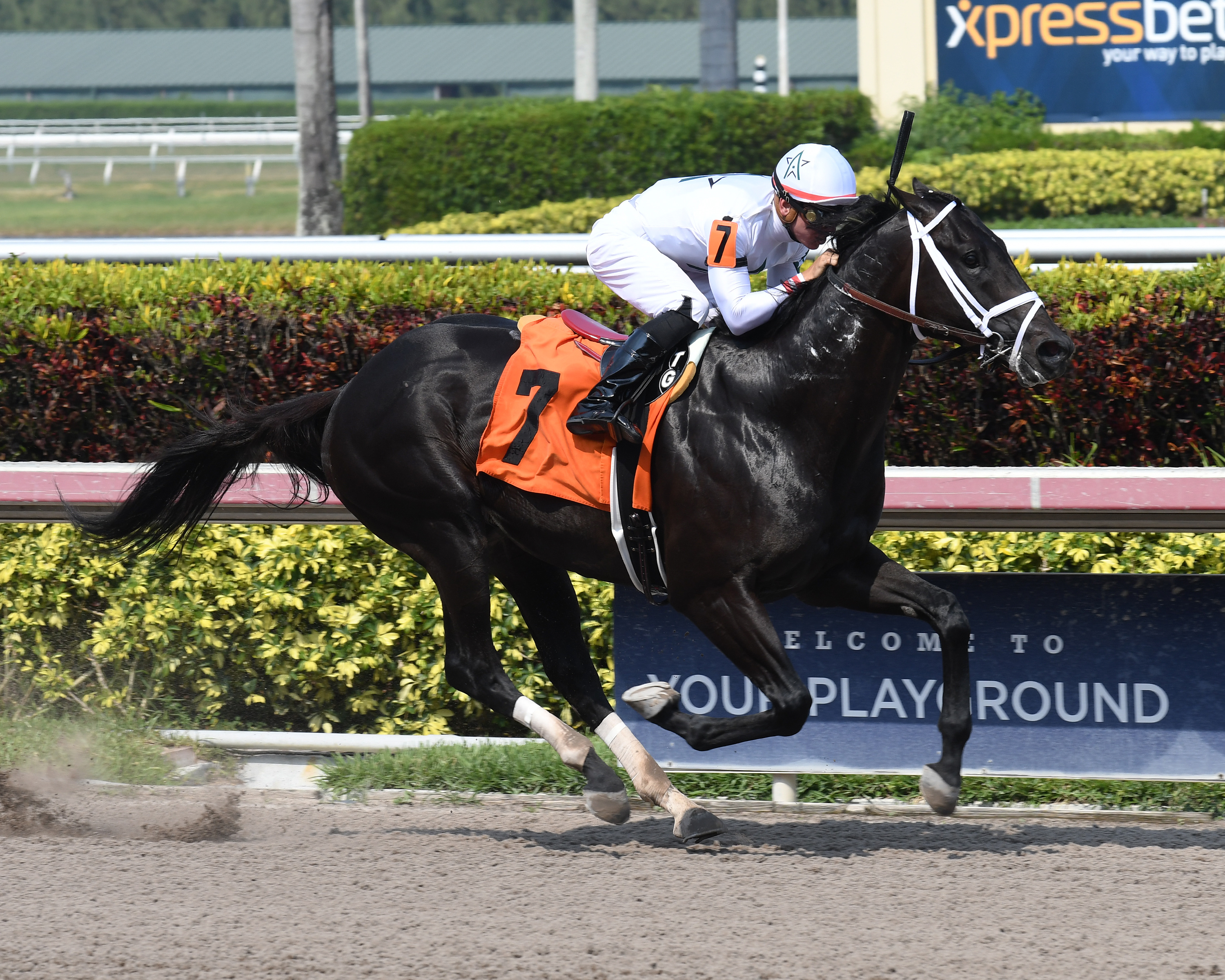 Benefactor wins a maiden race