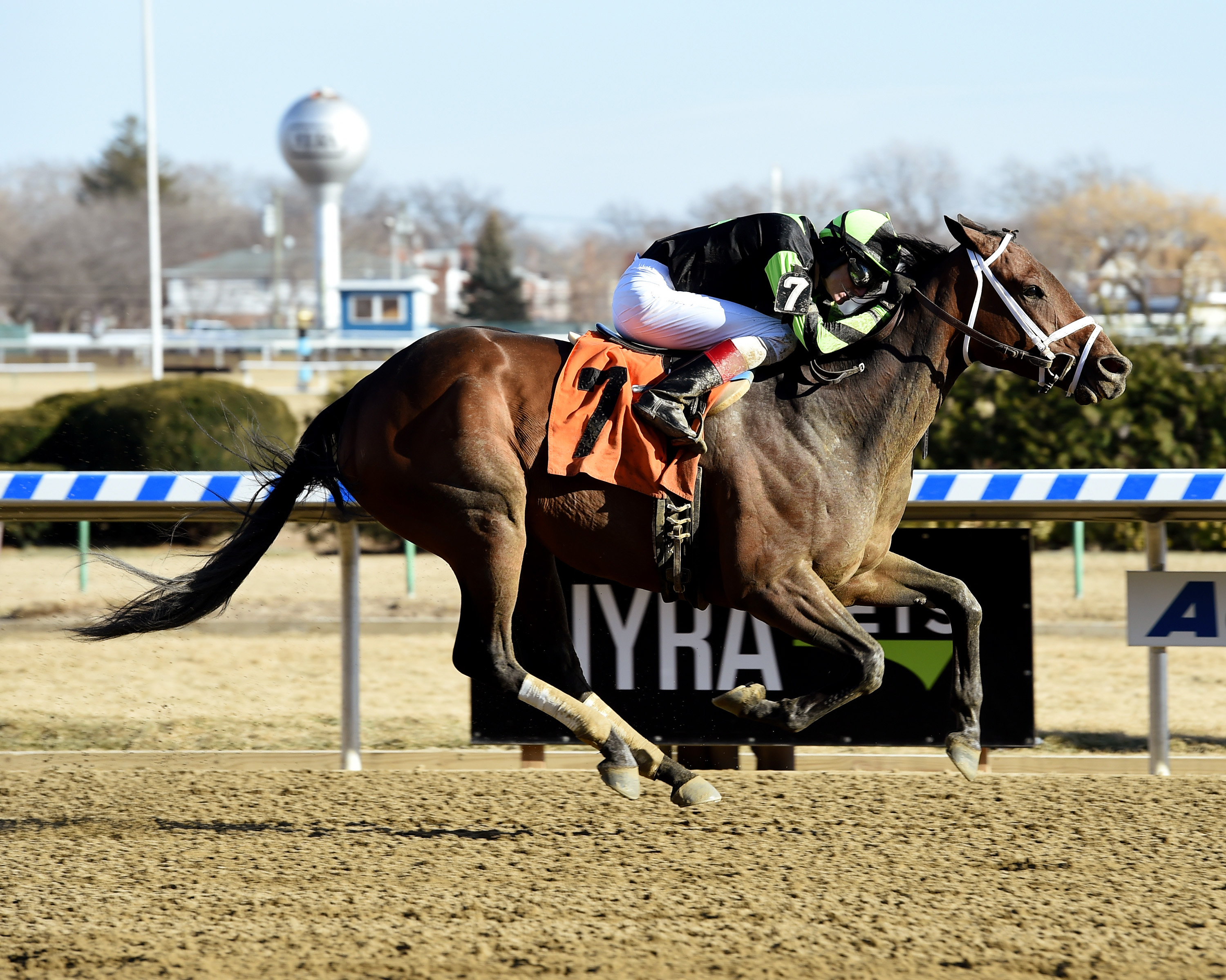 Benevolence wins a Jan. 20 allowance race