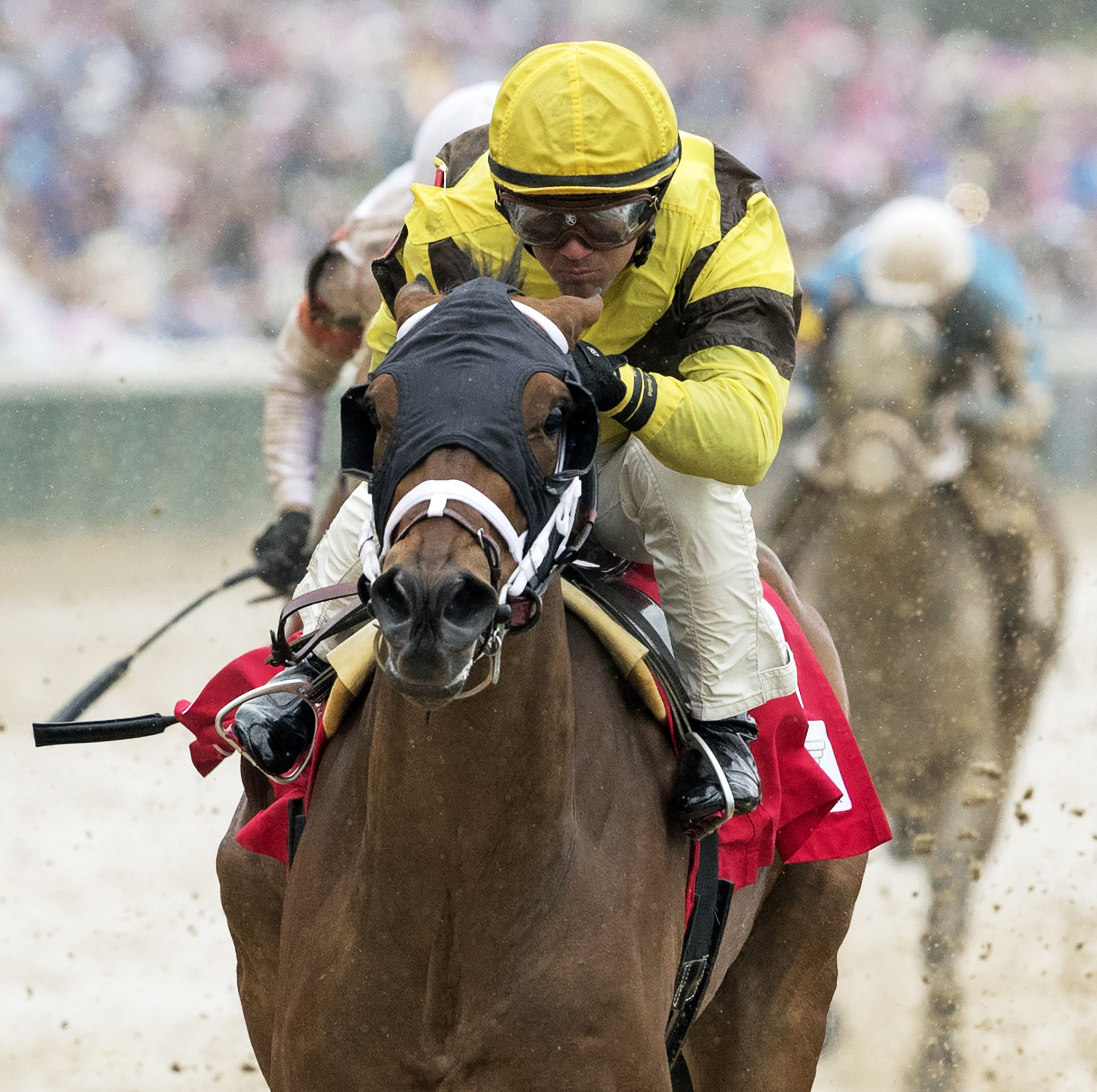Benner Island wins the Eight Belles