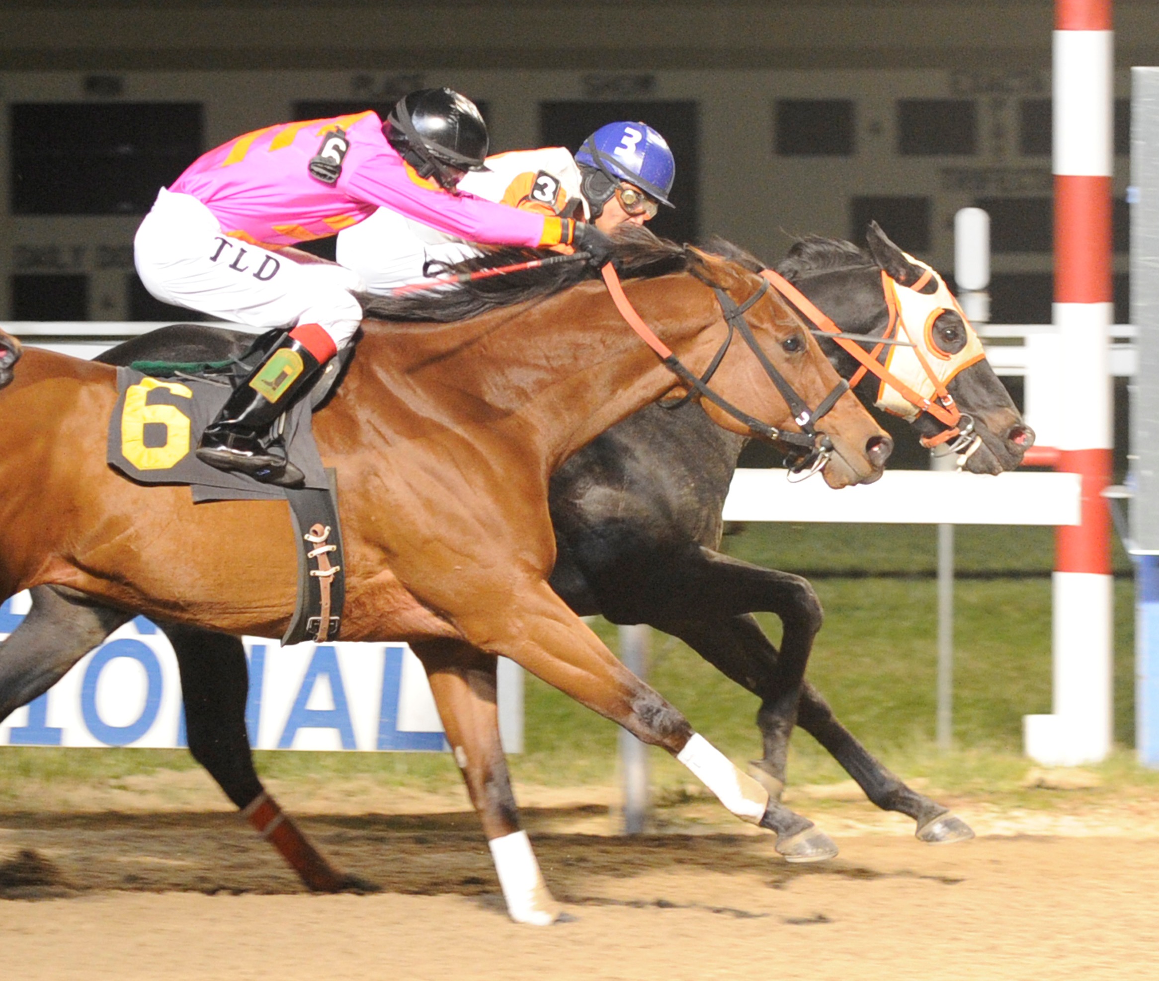 Ben's Cat, inside, Fabulous Strike Stakes