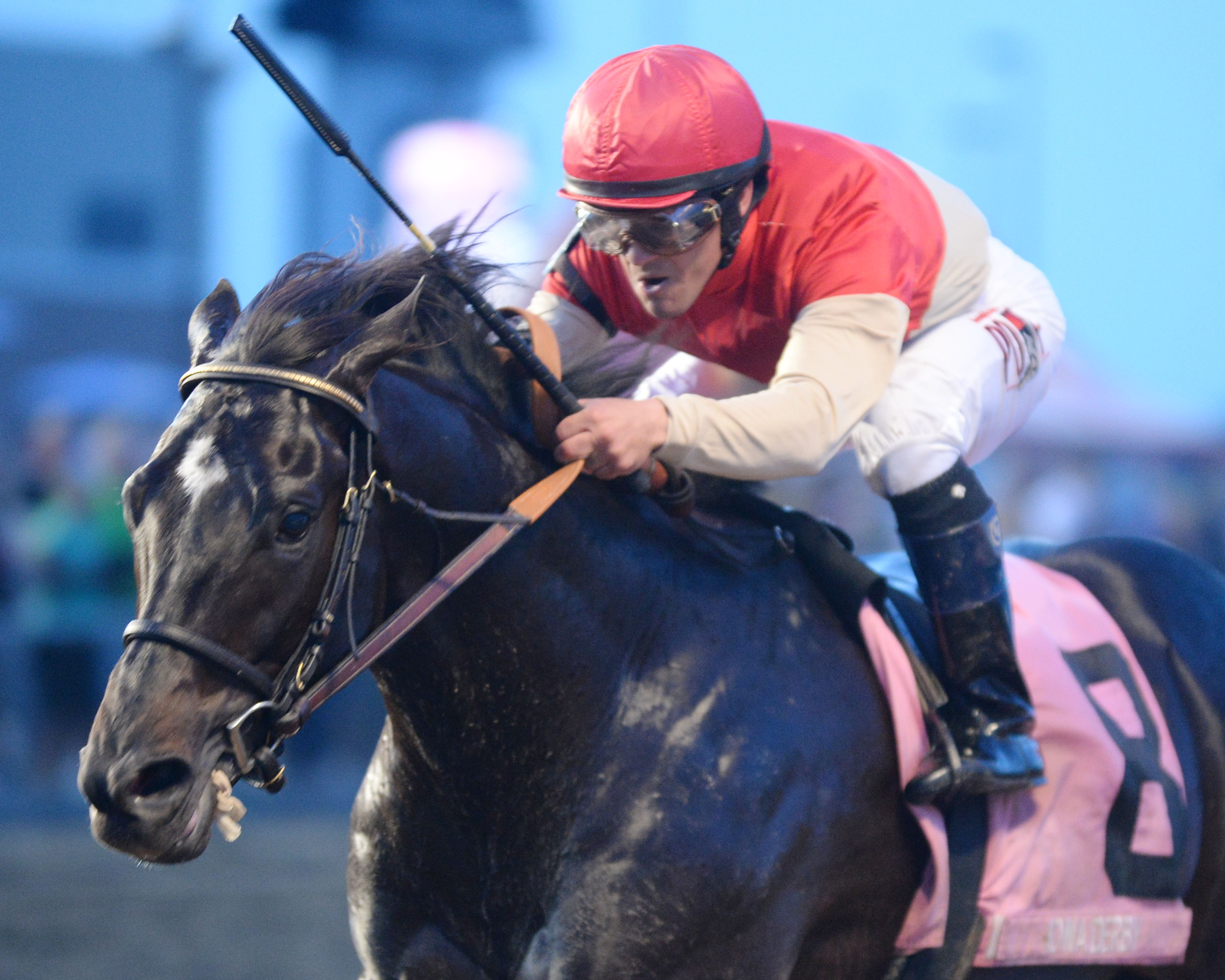 Bent On Bourbon wins 2015 Iowa Derby