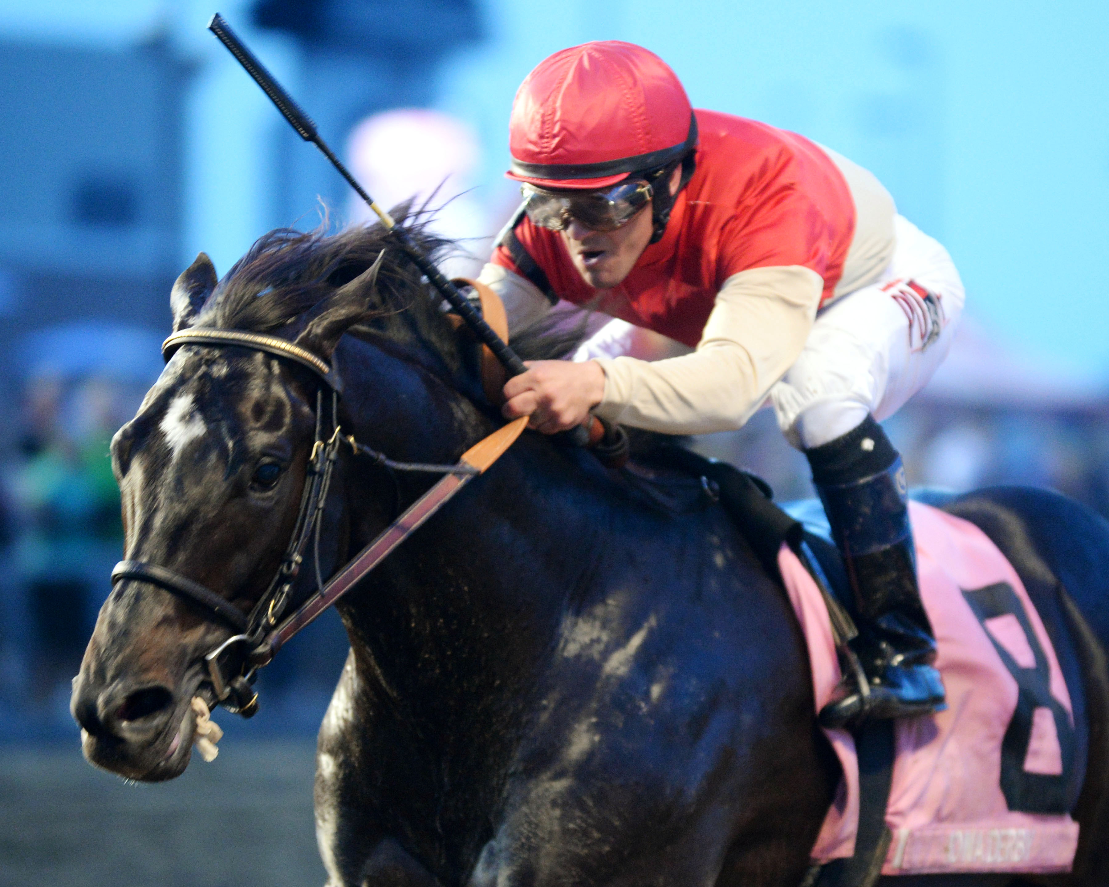Bent on Bourbon wins the Iowa Derby