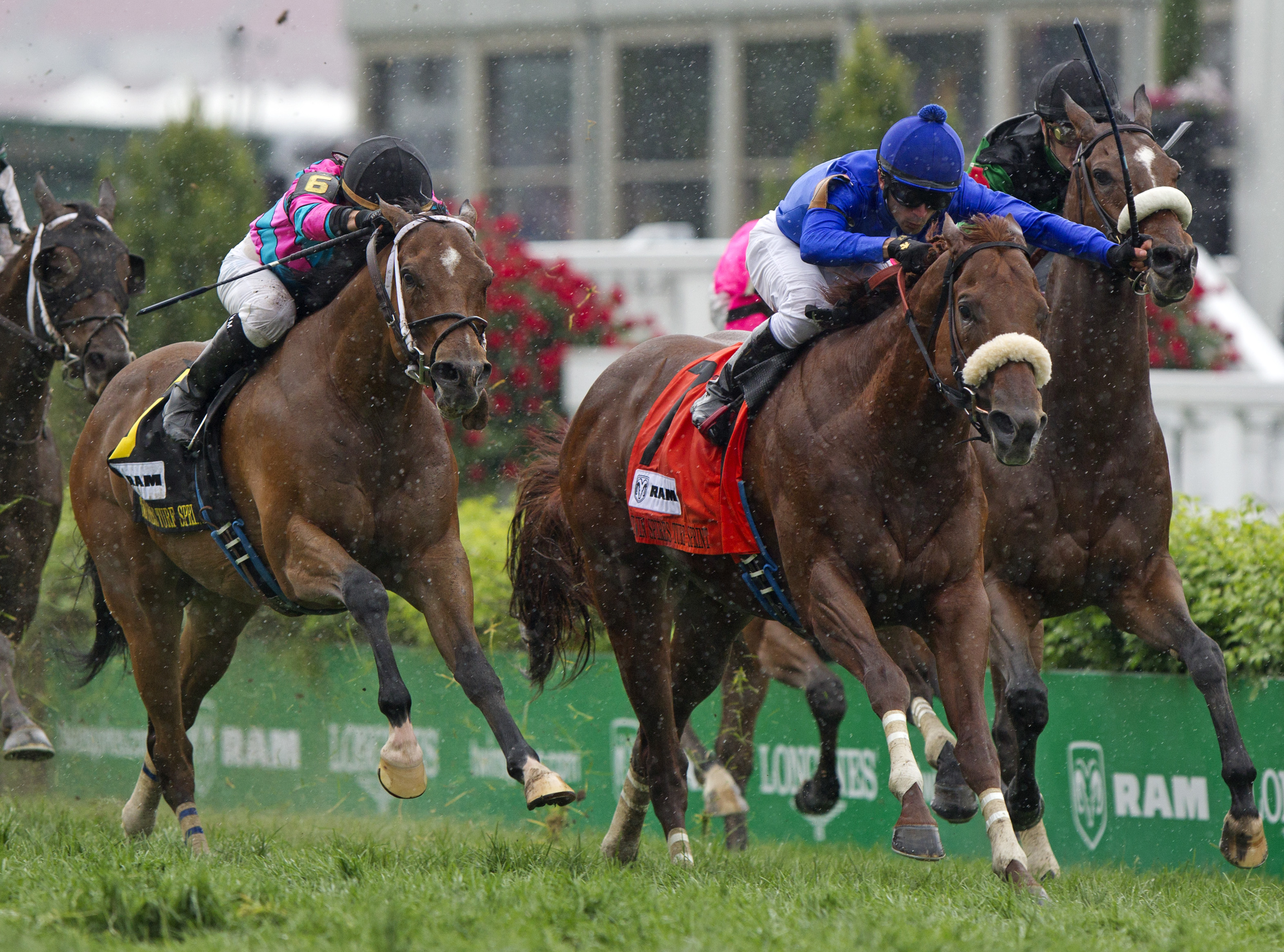 Berlino Di Tiger, Twin Spires Turf Sprint