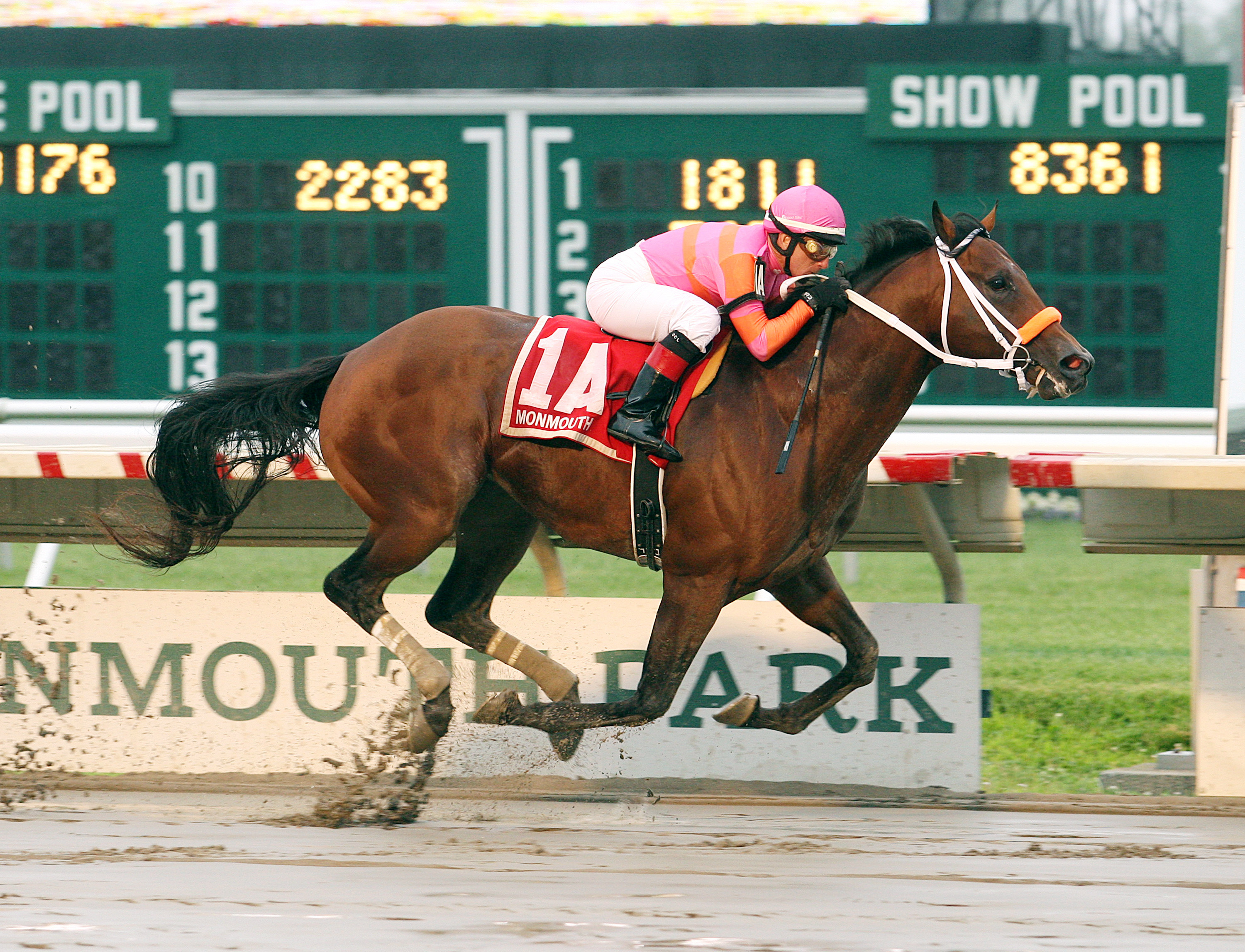 Bern Identity wins the My Frenchman Stakes