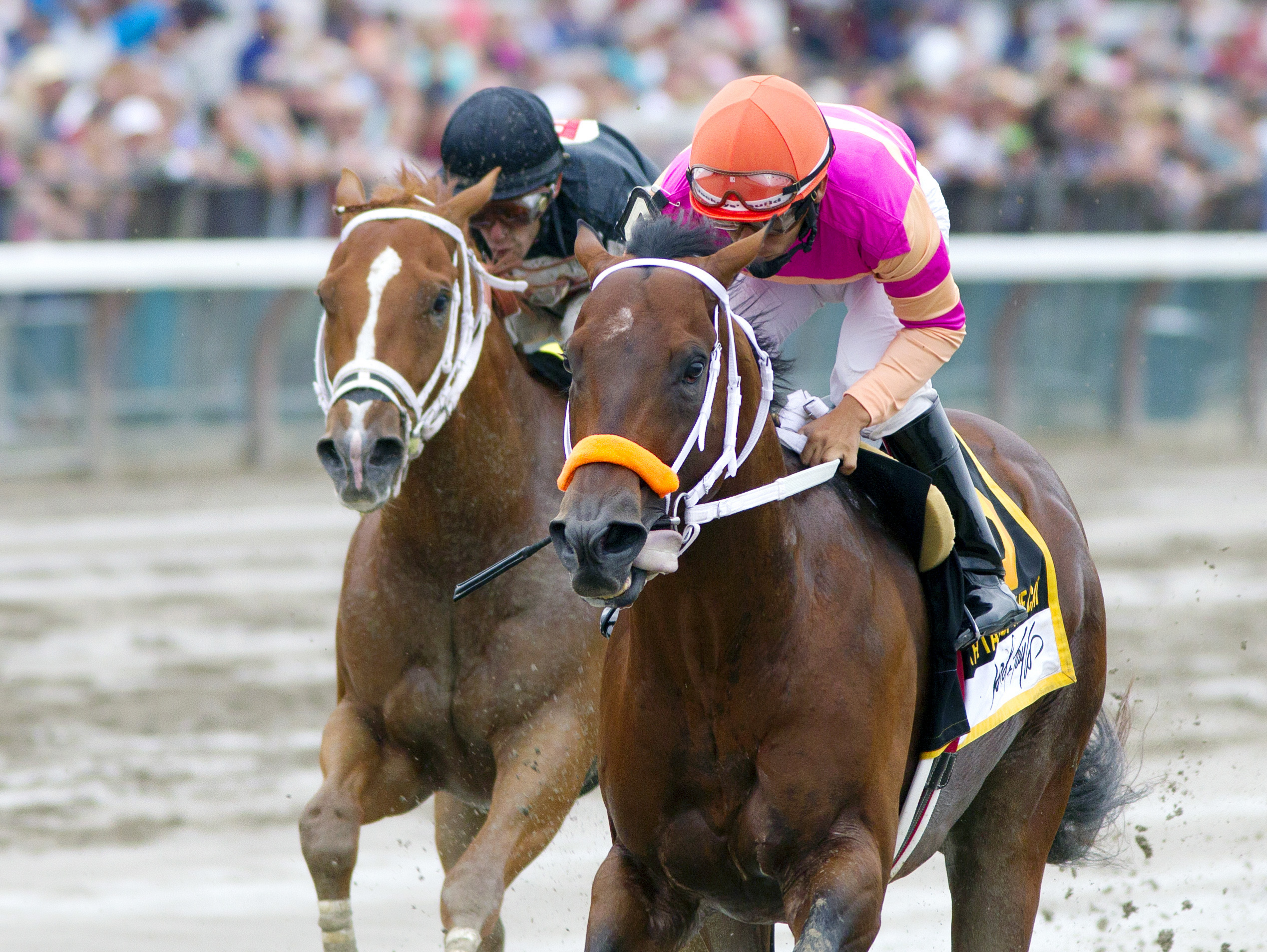 Bern Identity wins the Tale of the Cat