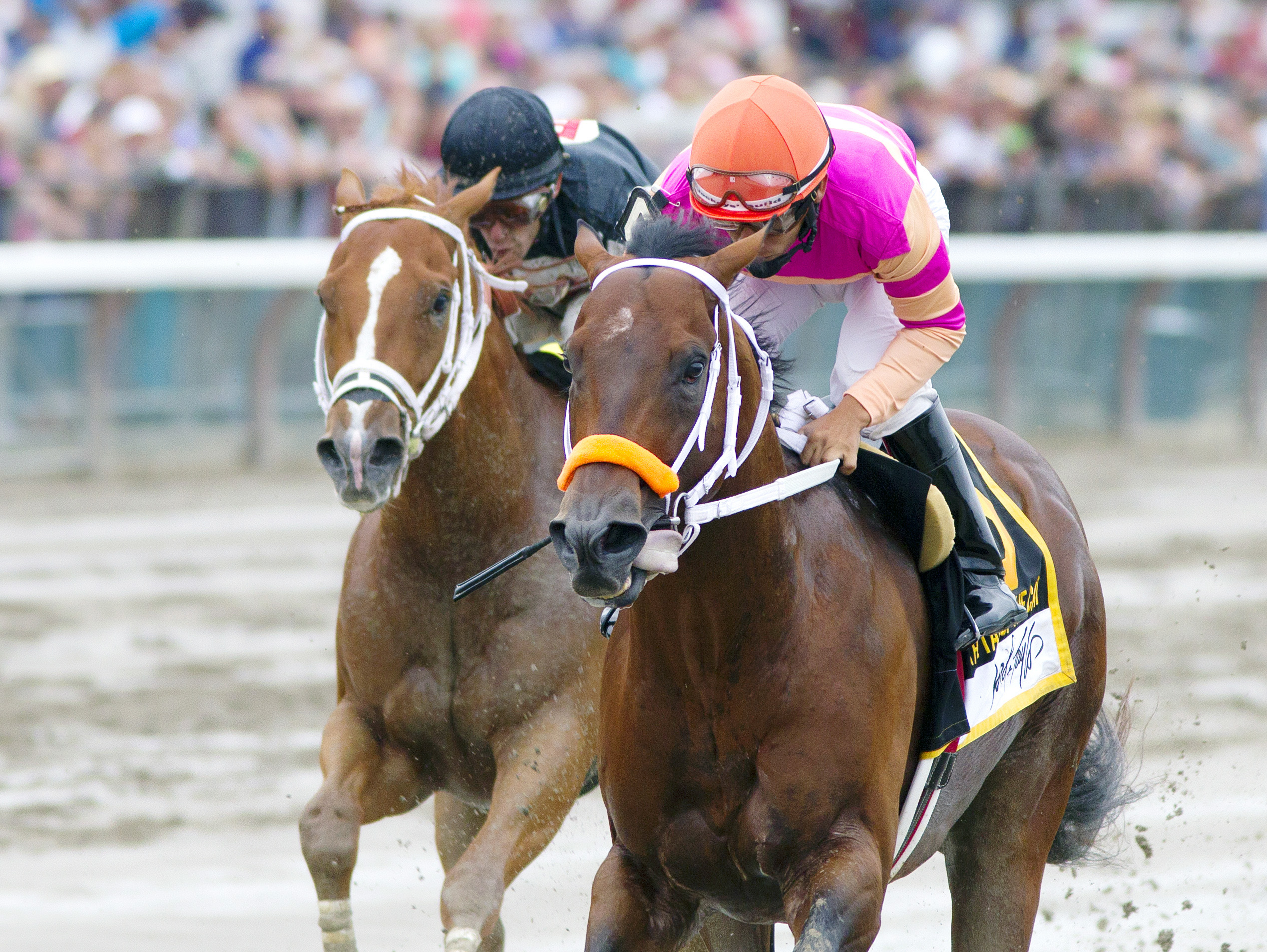 Bern Identity wins the Tale of the Cat