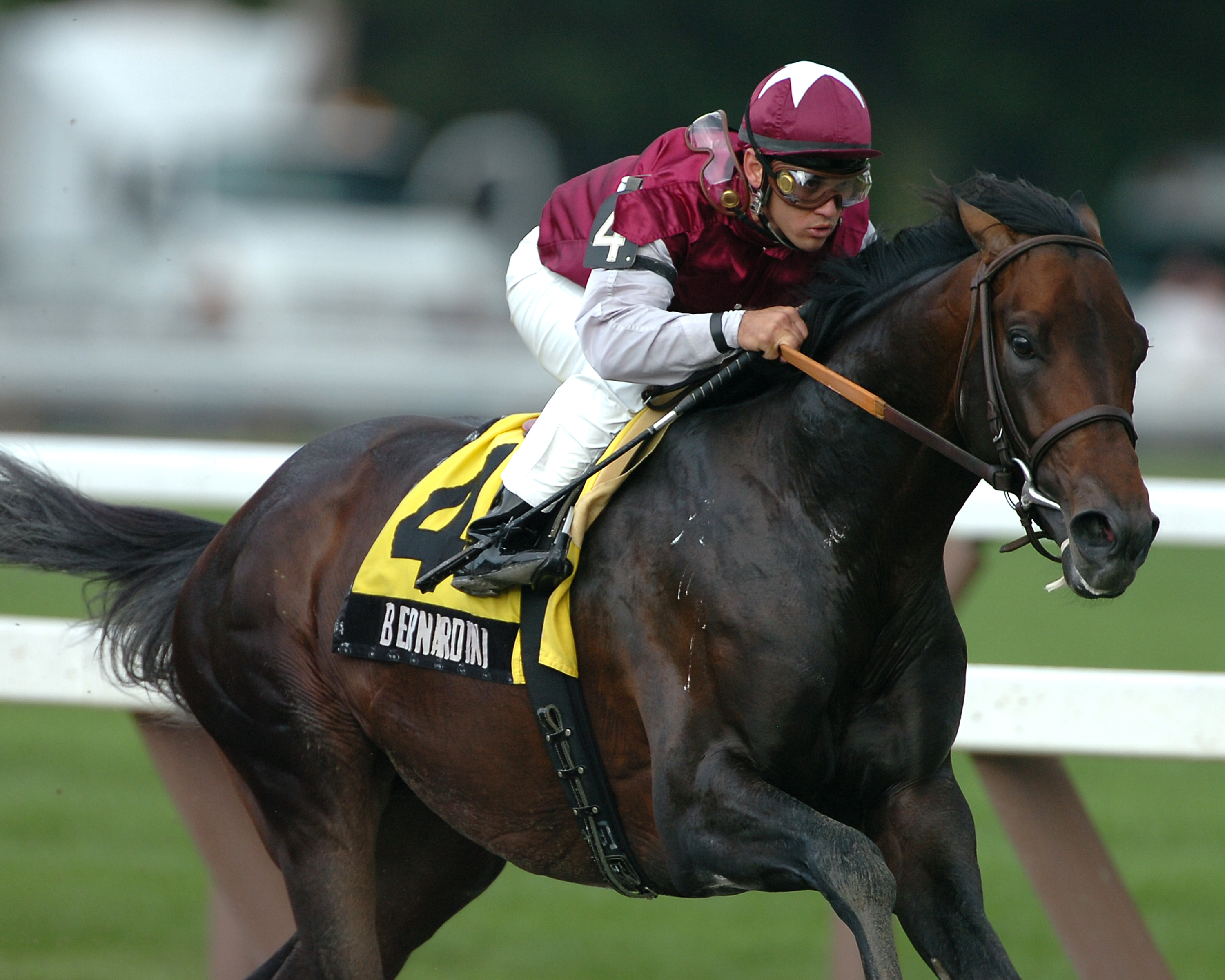 Bernardini