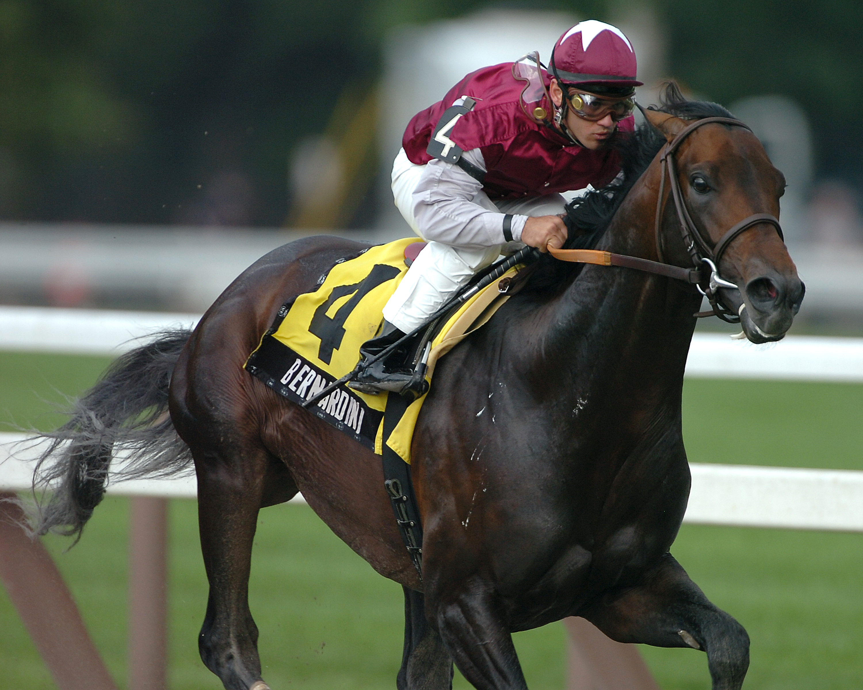 Bernardini