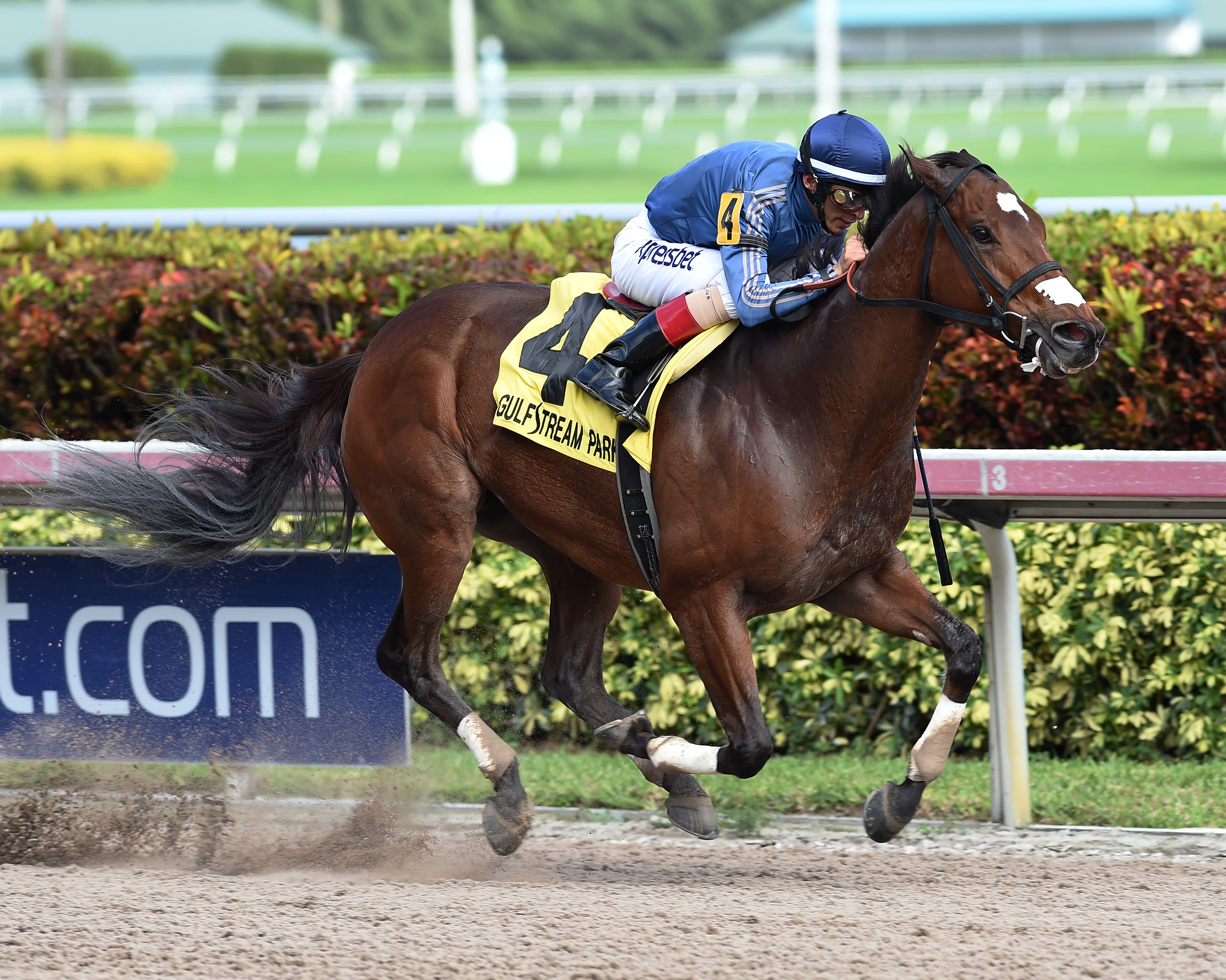 Best Behavior wins 2015 Sugar Swirl
