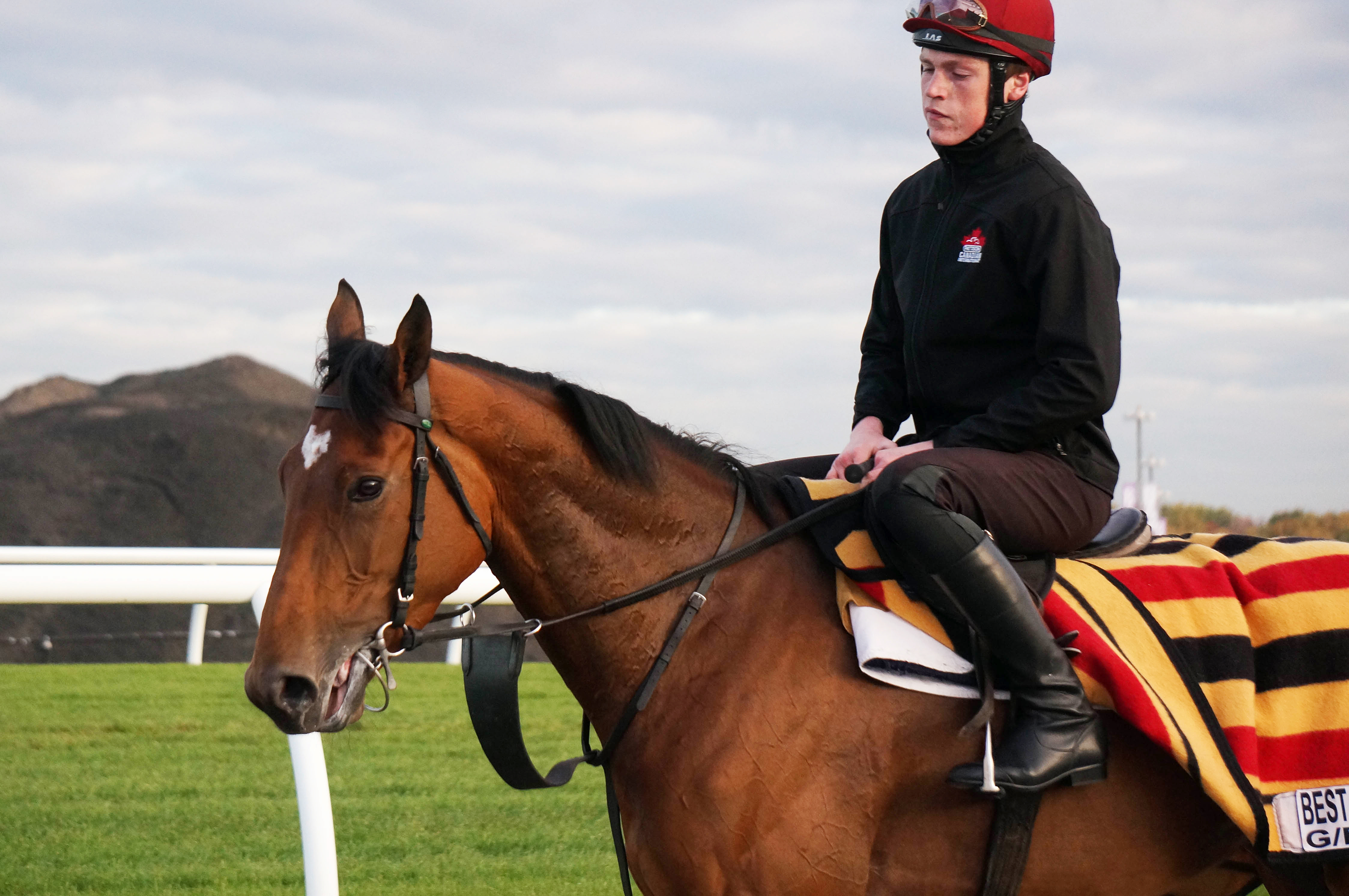 Best In The World at Woodbine on Oct. 14