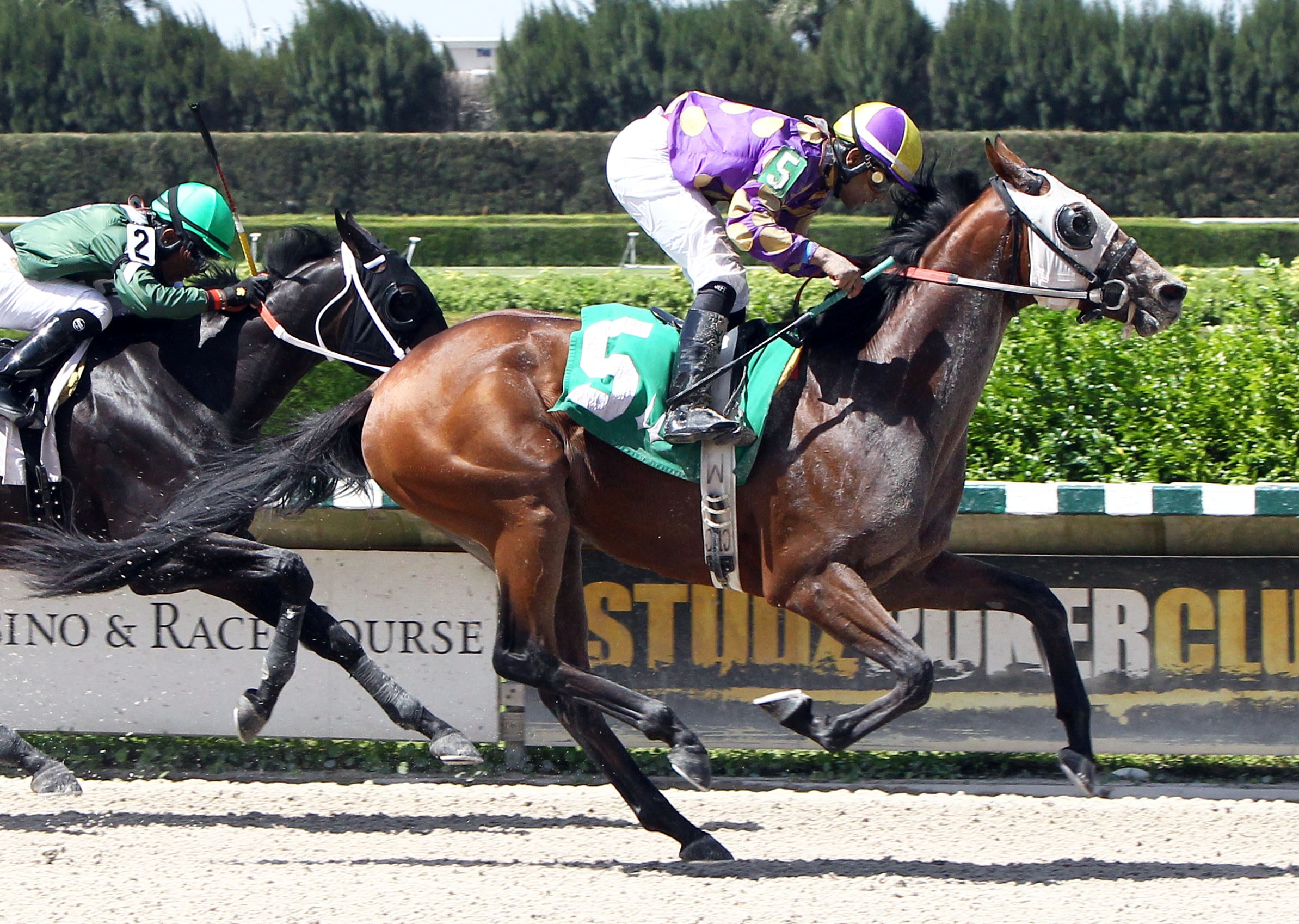 Best Plan Yet, Foolish Pleasure Stakes