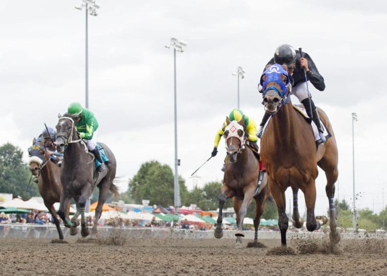 Best of Me (right) wins the 2019 Washington State Legislators