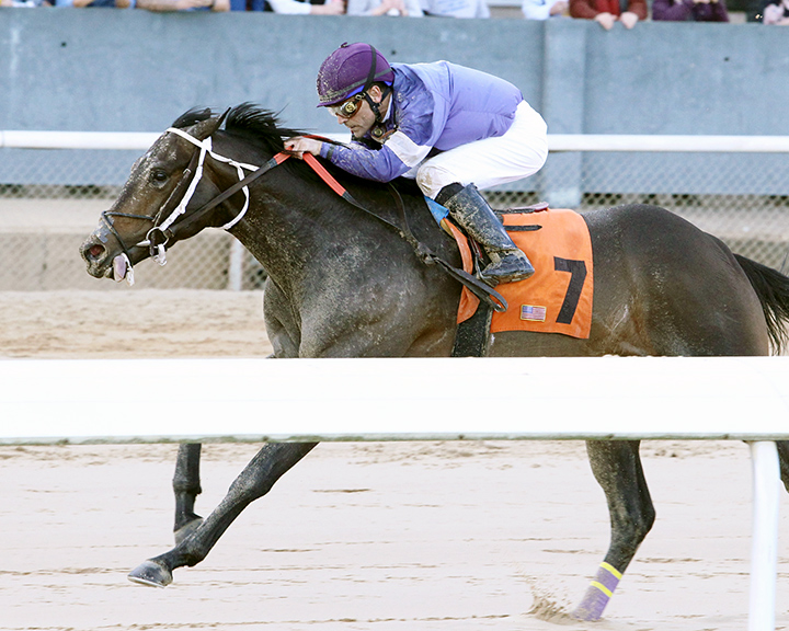 Best of Greeley wins a March 1, 2018, allowance at Oaklawn Park