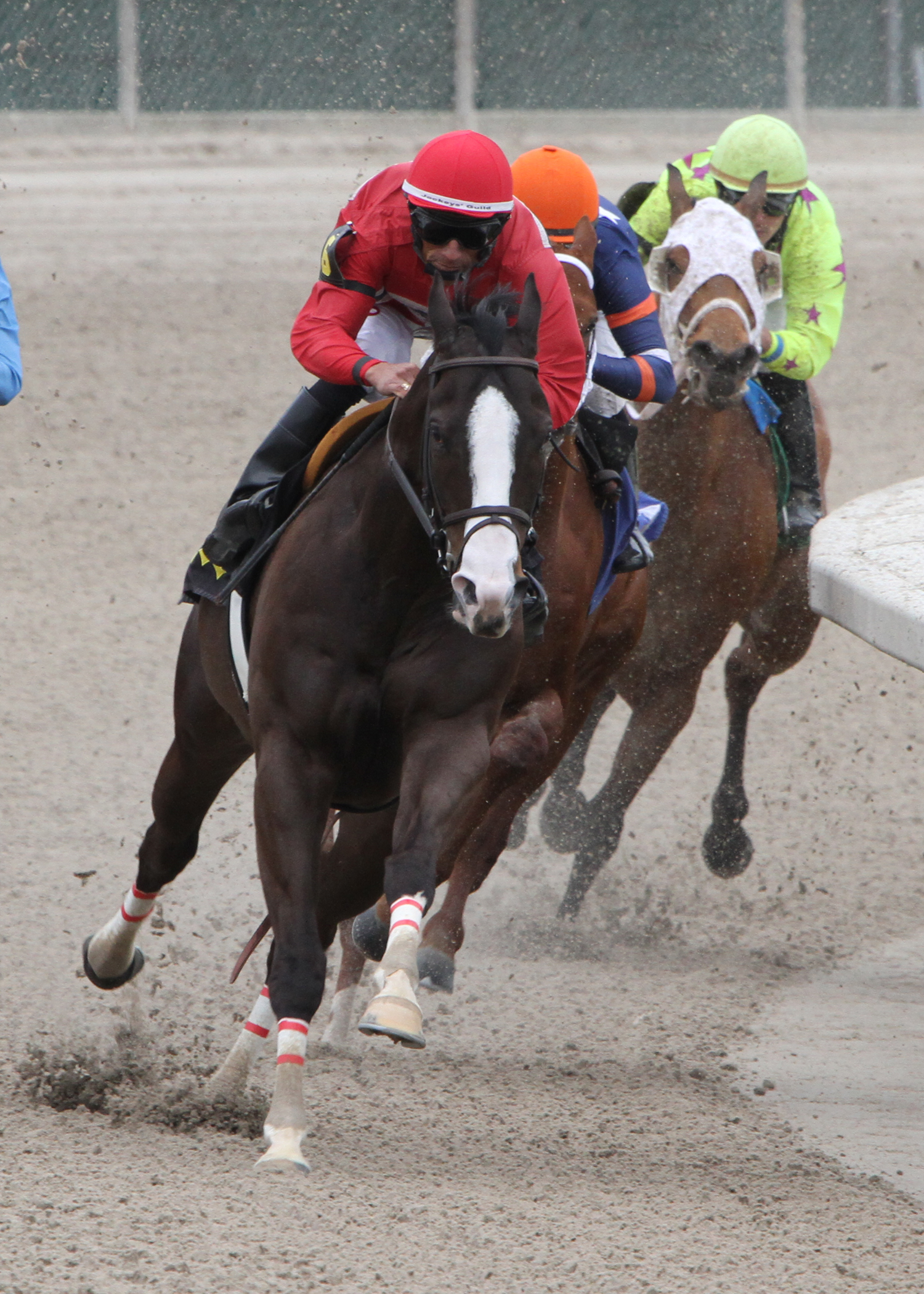 Bet Seattle 2-21-2015