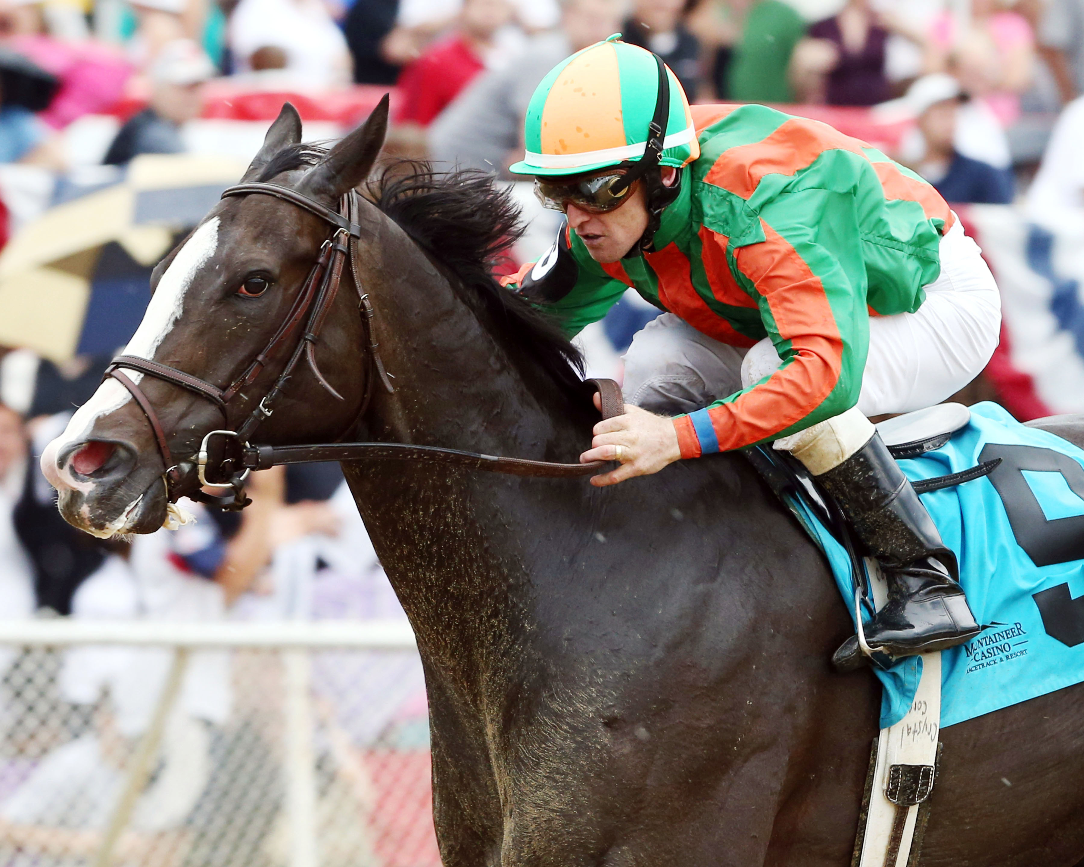 Bet Seattle wins the West Virginia Legislature Chairman's Cup