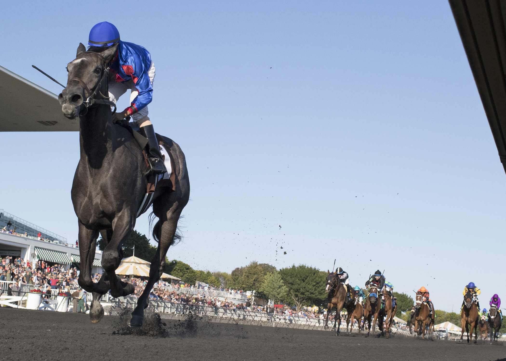 Bet She Wins wins the 2017 Arlington-Washington Lassie