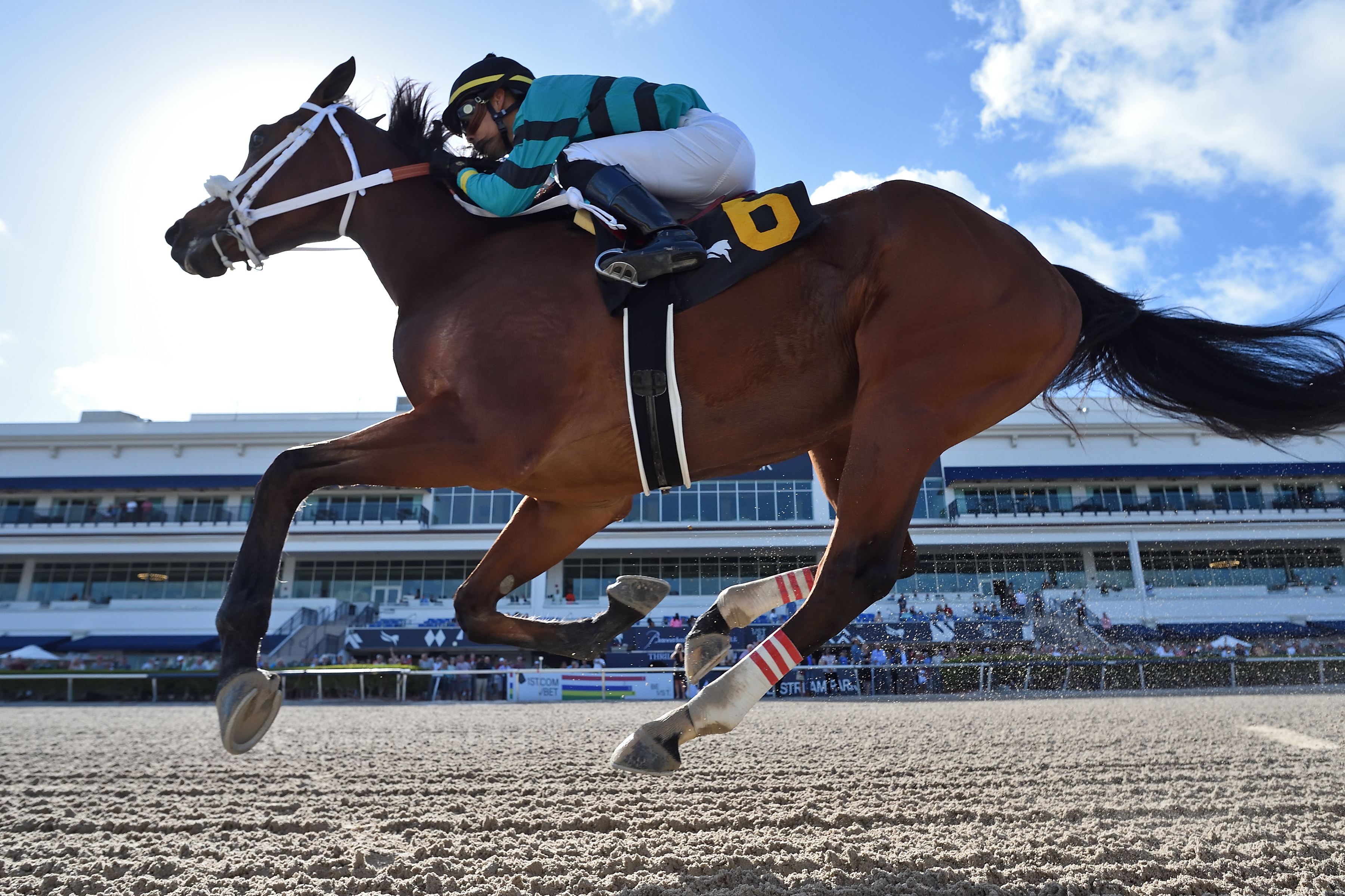Beth's Dream beats Florida-breds at Gulfstream on February 23 2022