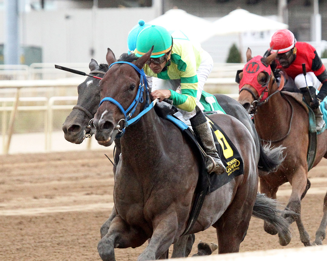 Betsdownletsride wins the Hillsdale Stakes at Indiana Grand