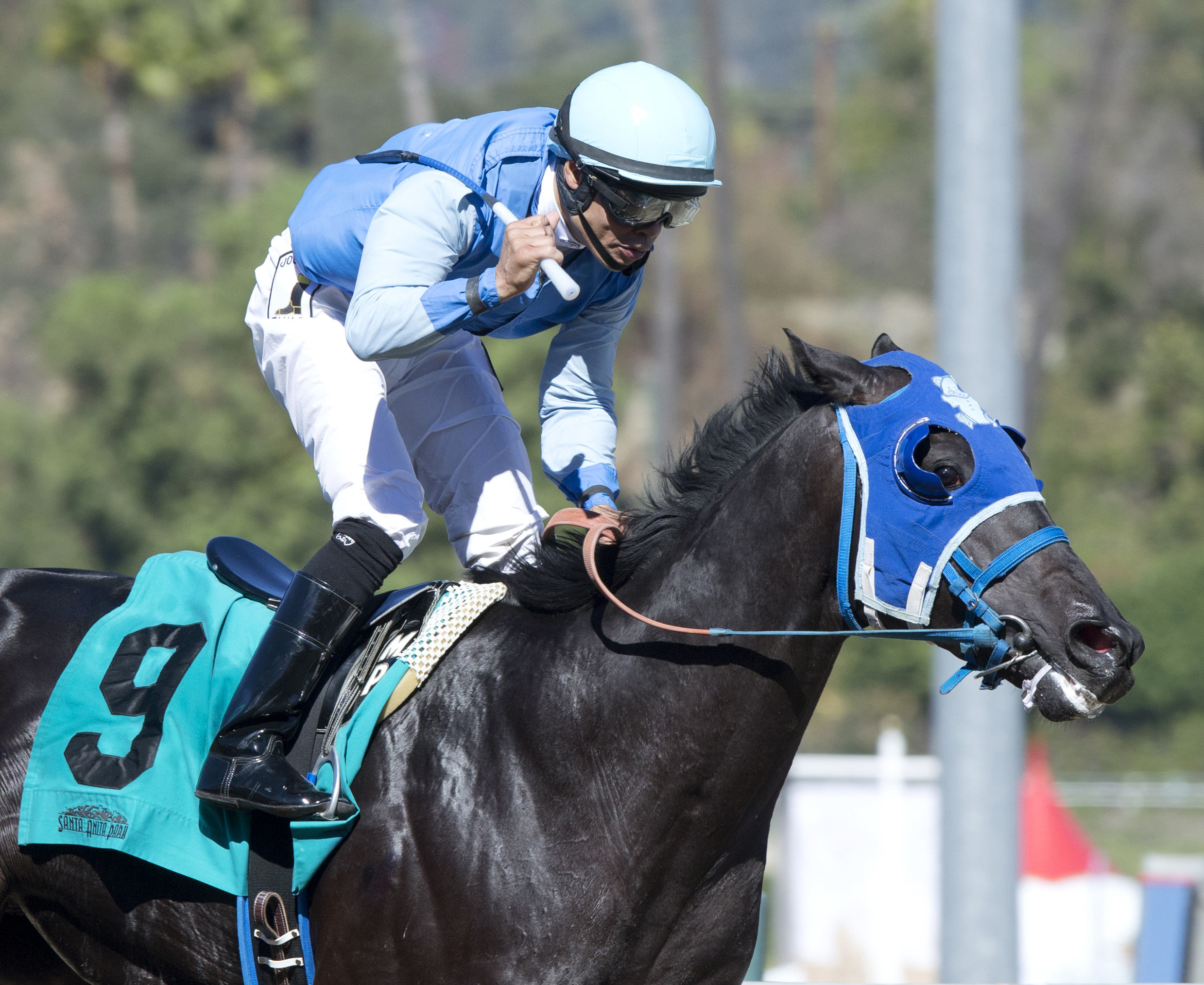 Better Bet wins the Golden State Juvenile Stakes