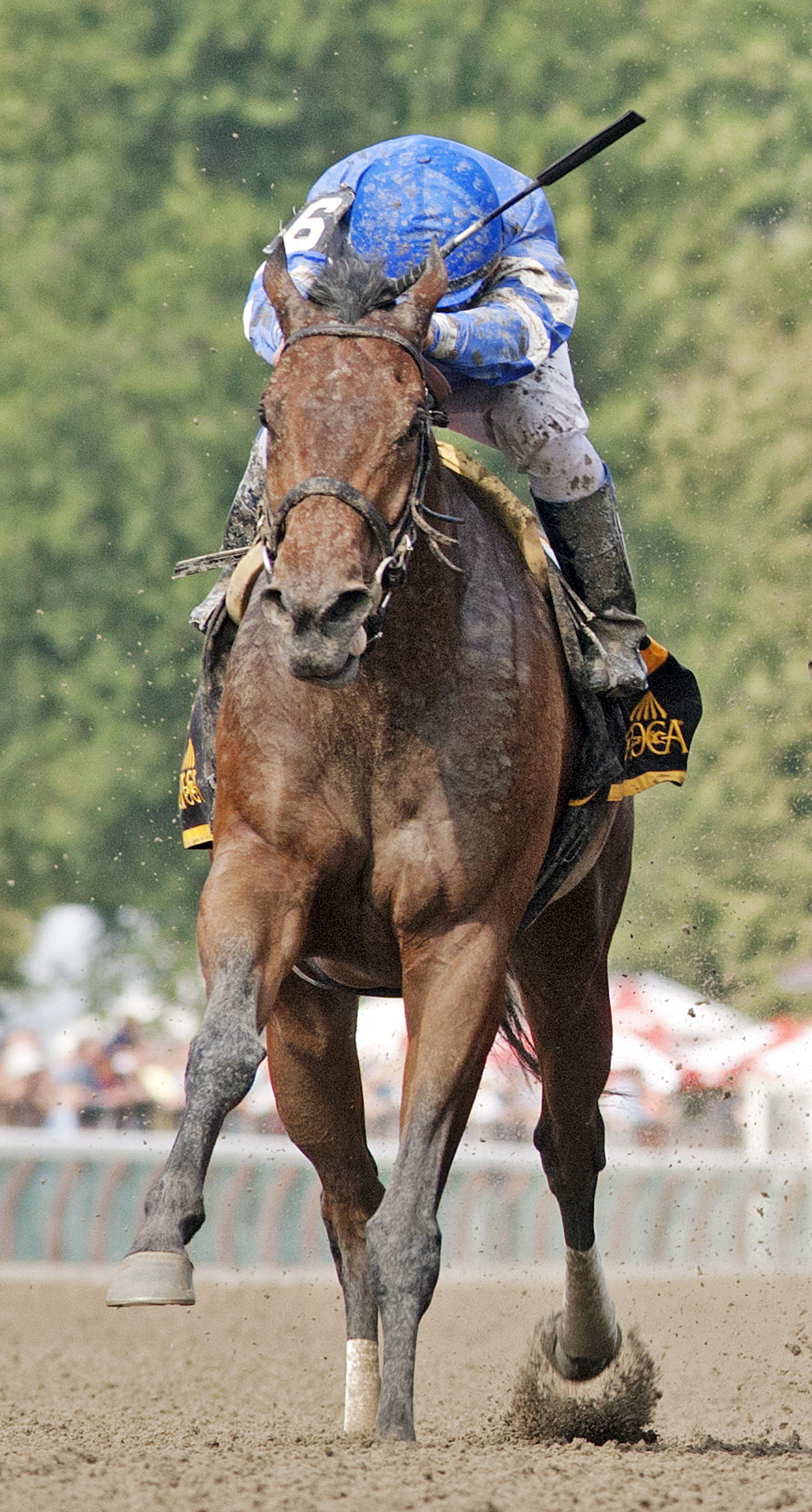 Better Lucky wins the Shine Again