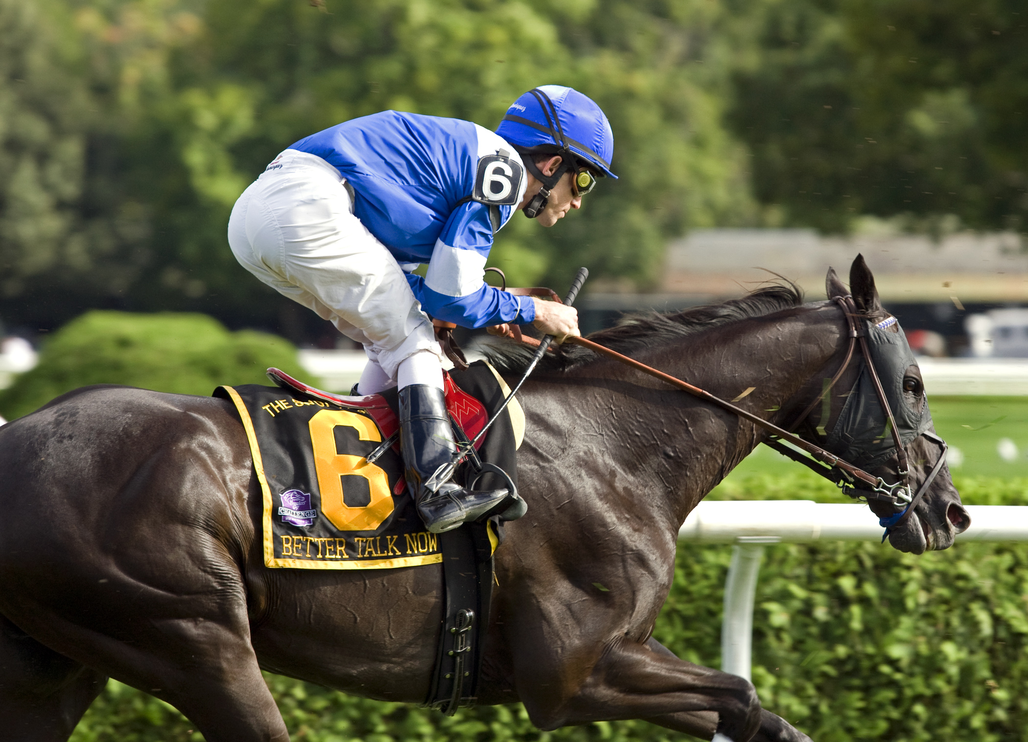 Better Talk Now in the 2008 Sword Dancer